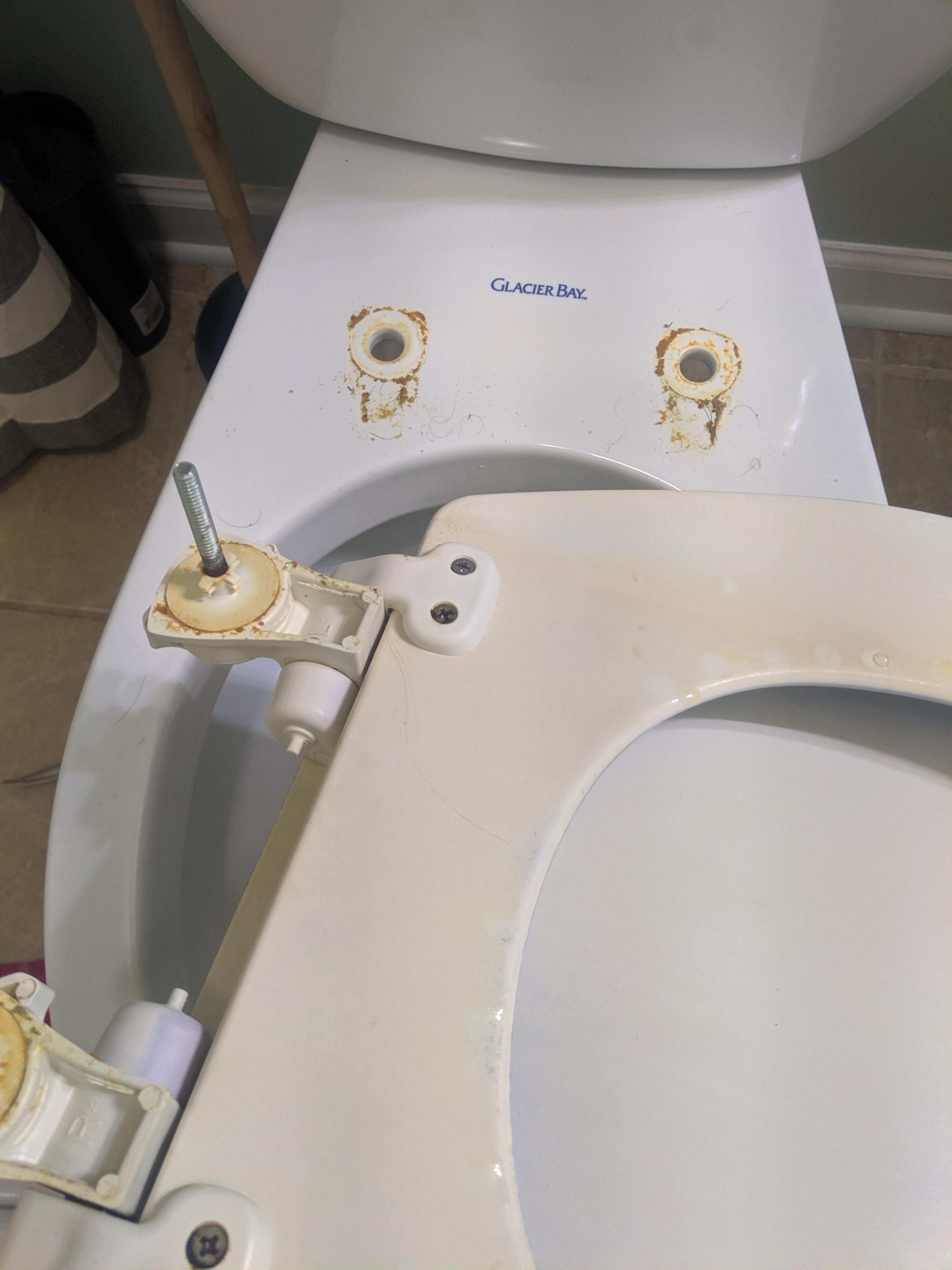 Always remove the toilet seat and clean under the hinges when you move