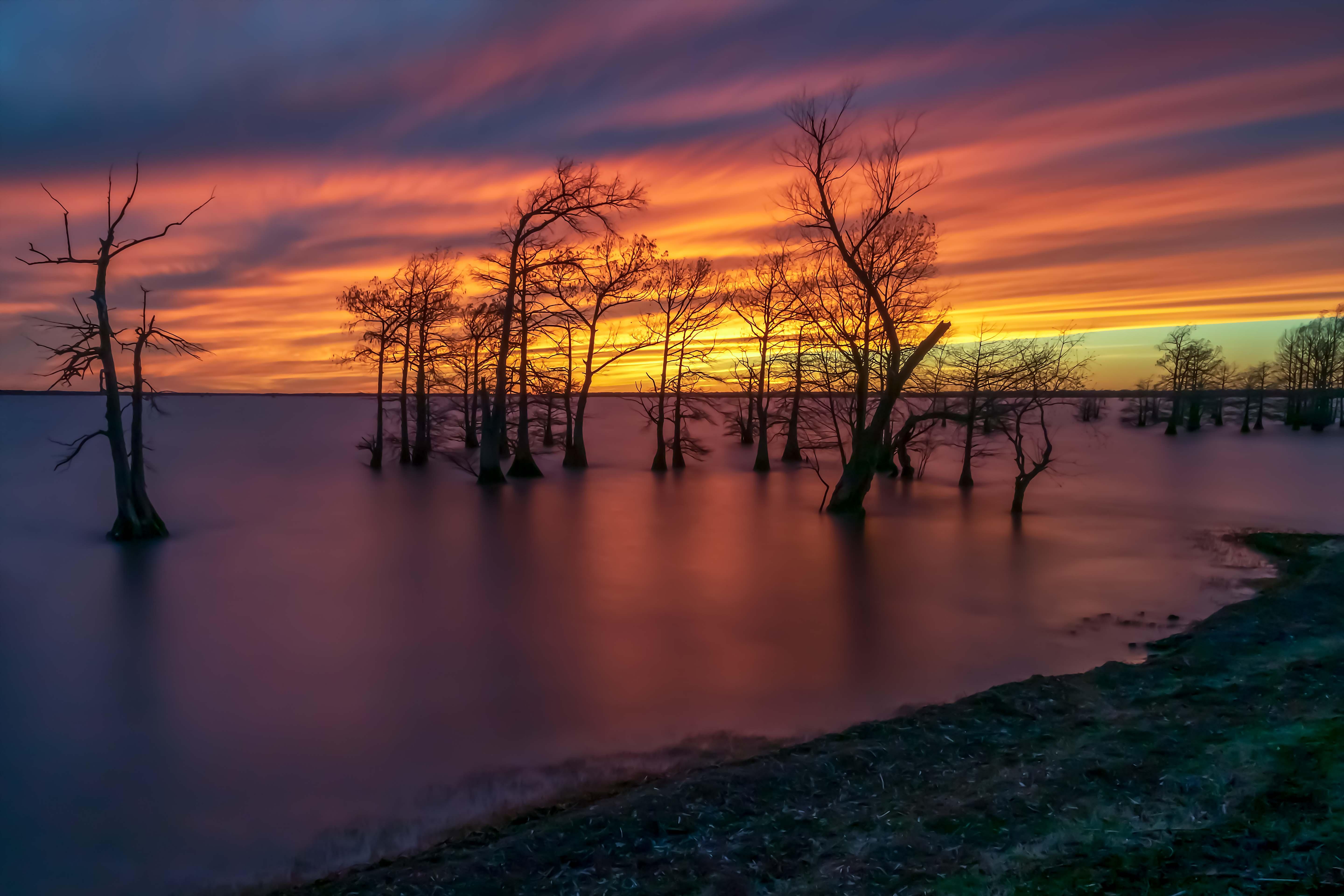 Caddo Lake r/Louisiana