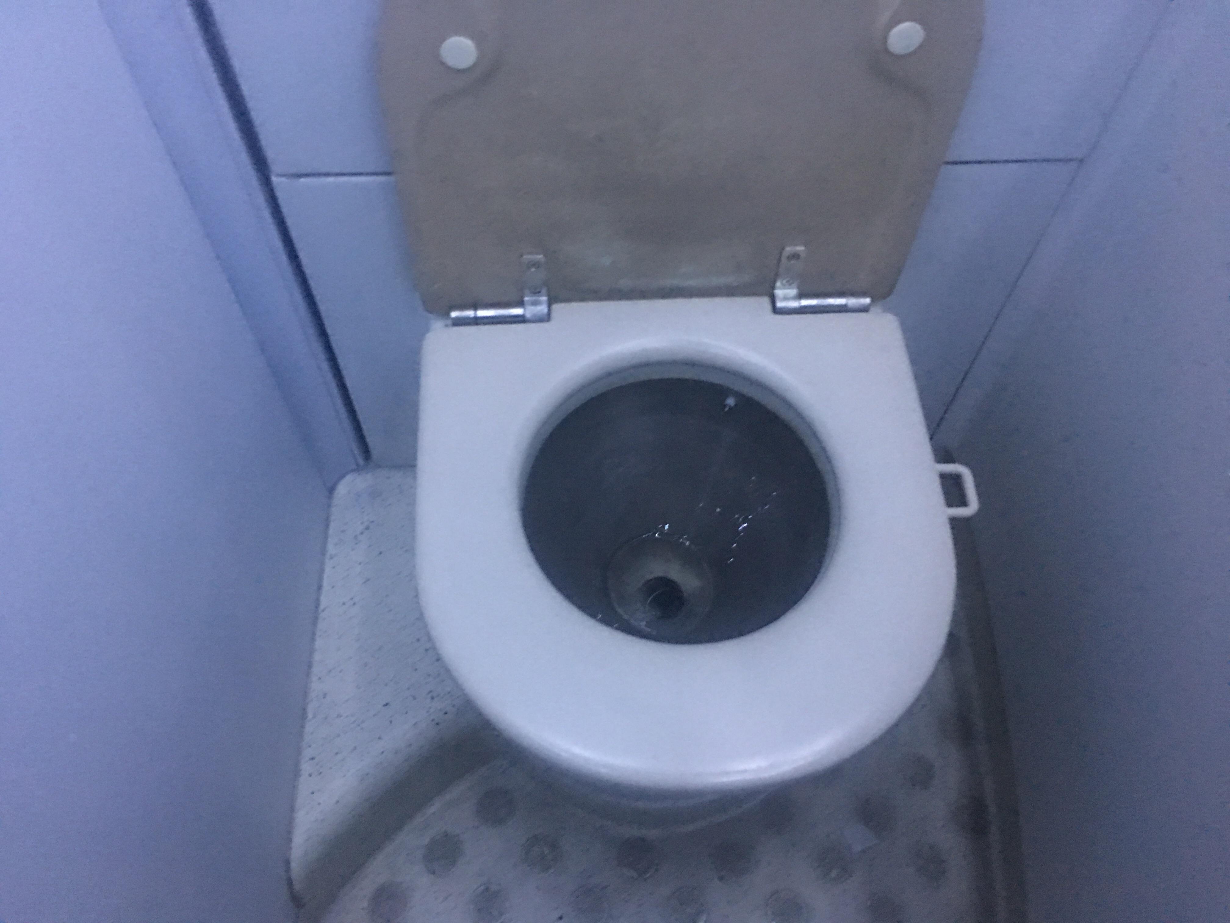 Eurail trains have a handle to lift the toilet seat r/mildlyinteresting