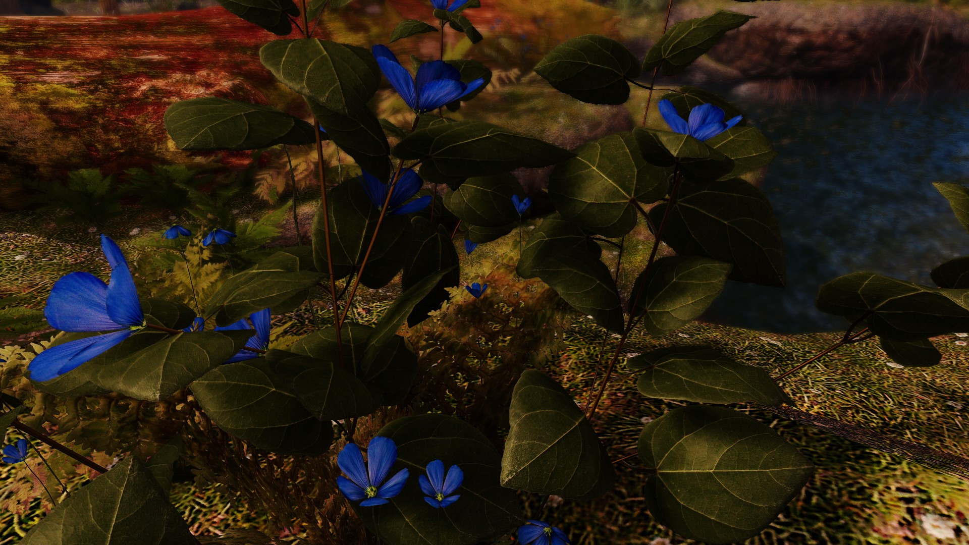 Blue Mountain Flowers) r/skyrim