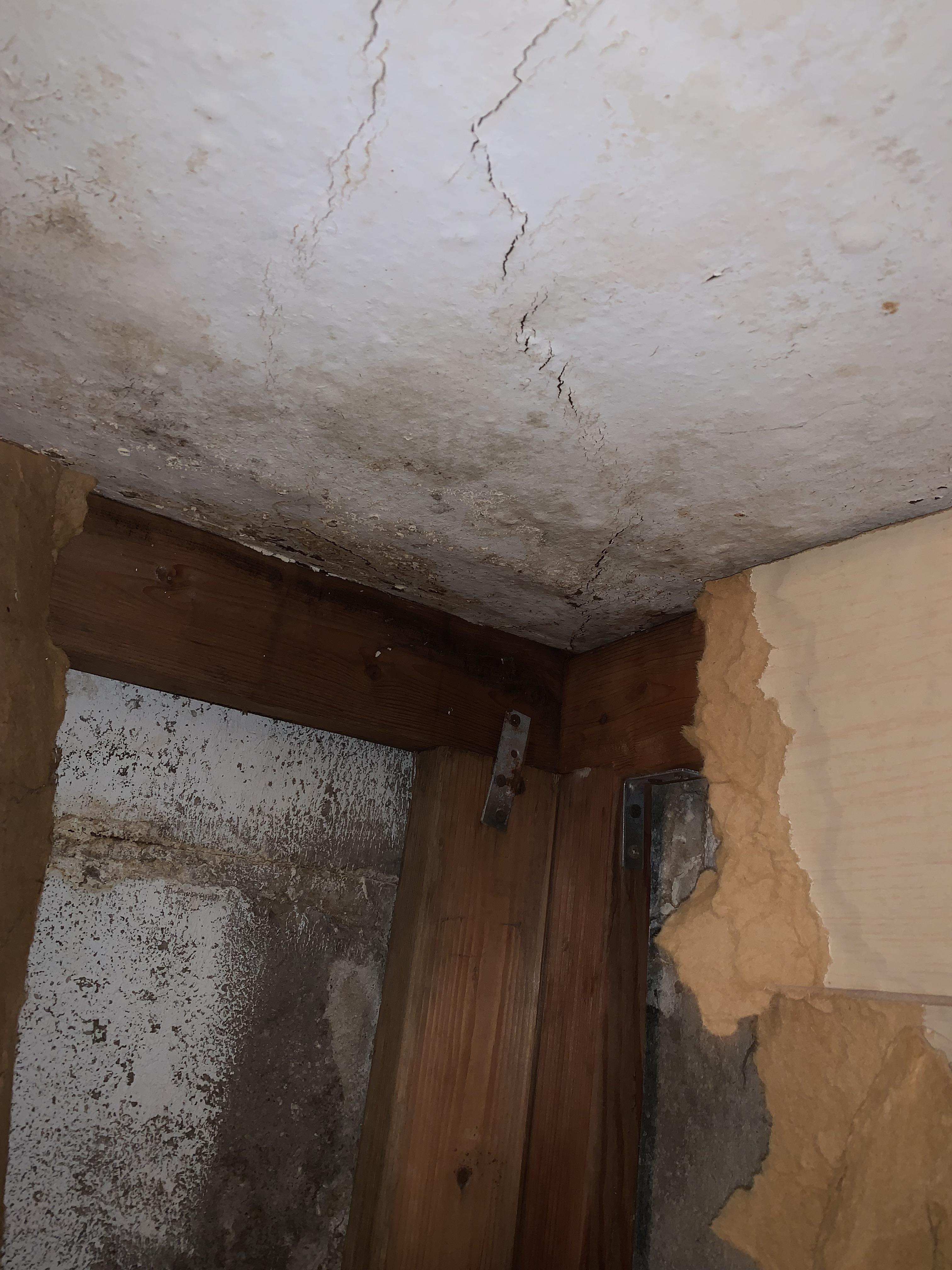 How to repair concrete ceiling due to water damage? r/FirstTimeHomeBuyer