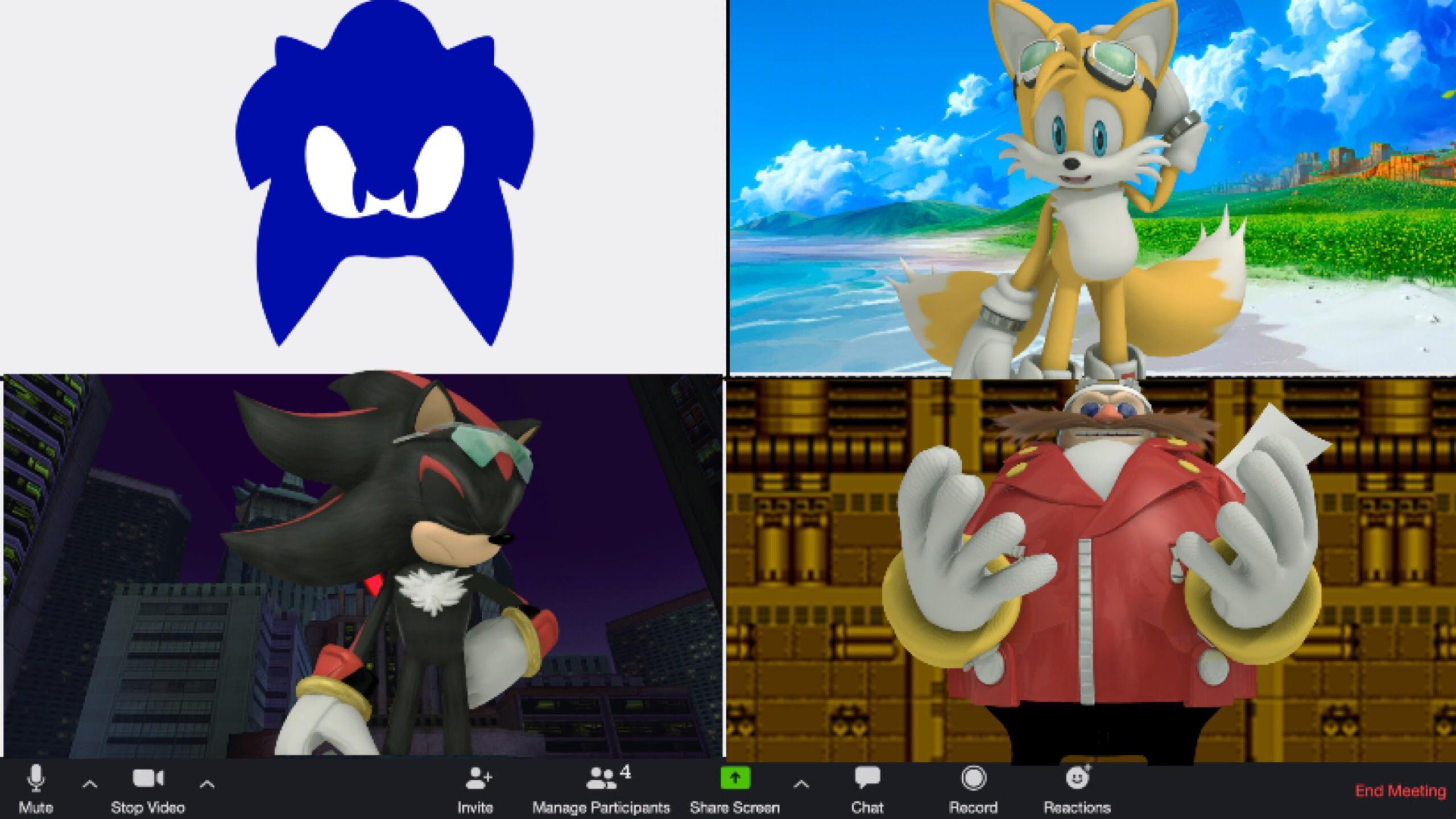 Sonic Zoom meeting r/SonicTheHedgehog