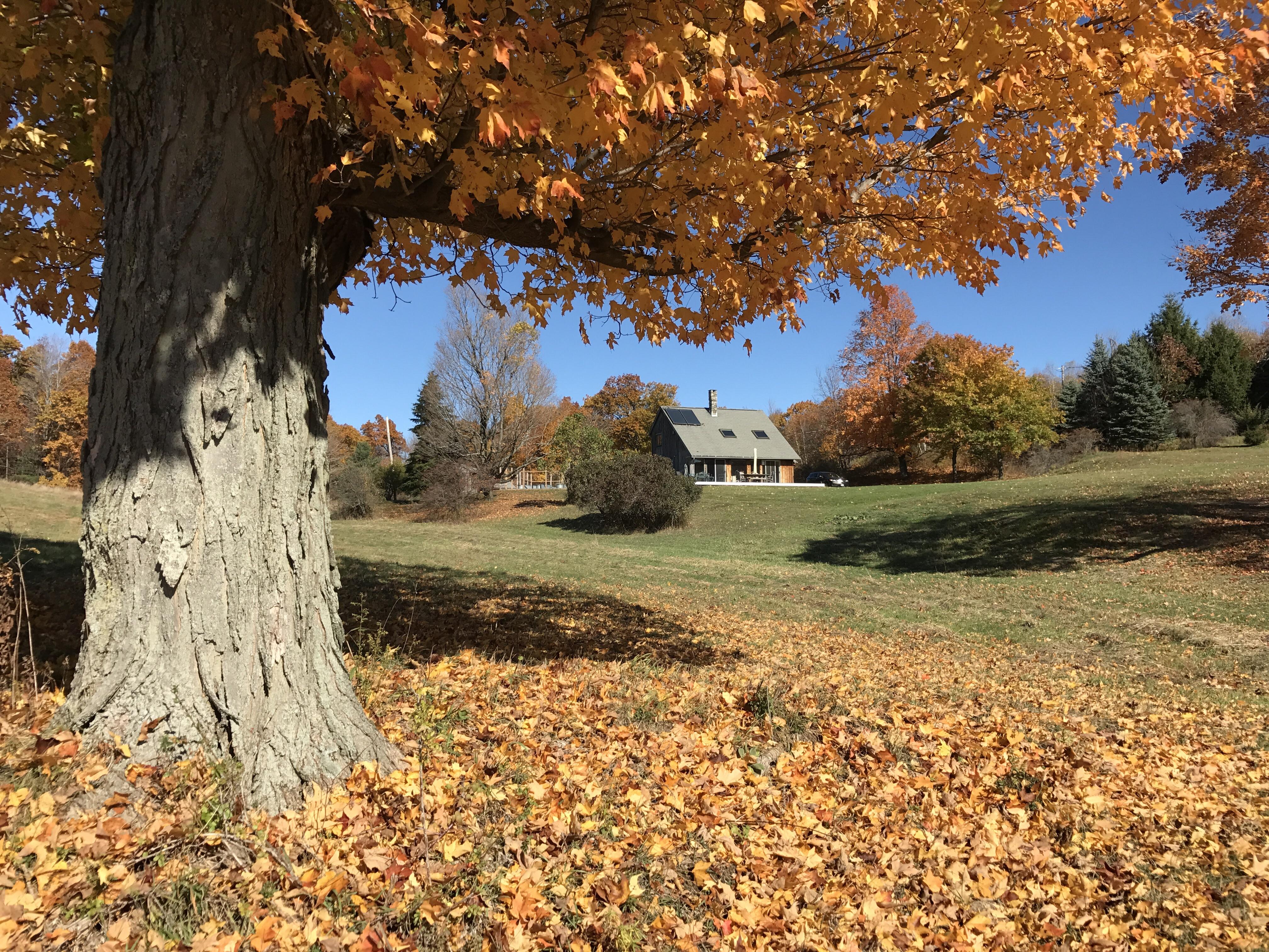 Fall Events Upstate Ny 2024 Upstate New York Cabin in Fall r/CozyPlaces