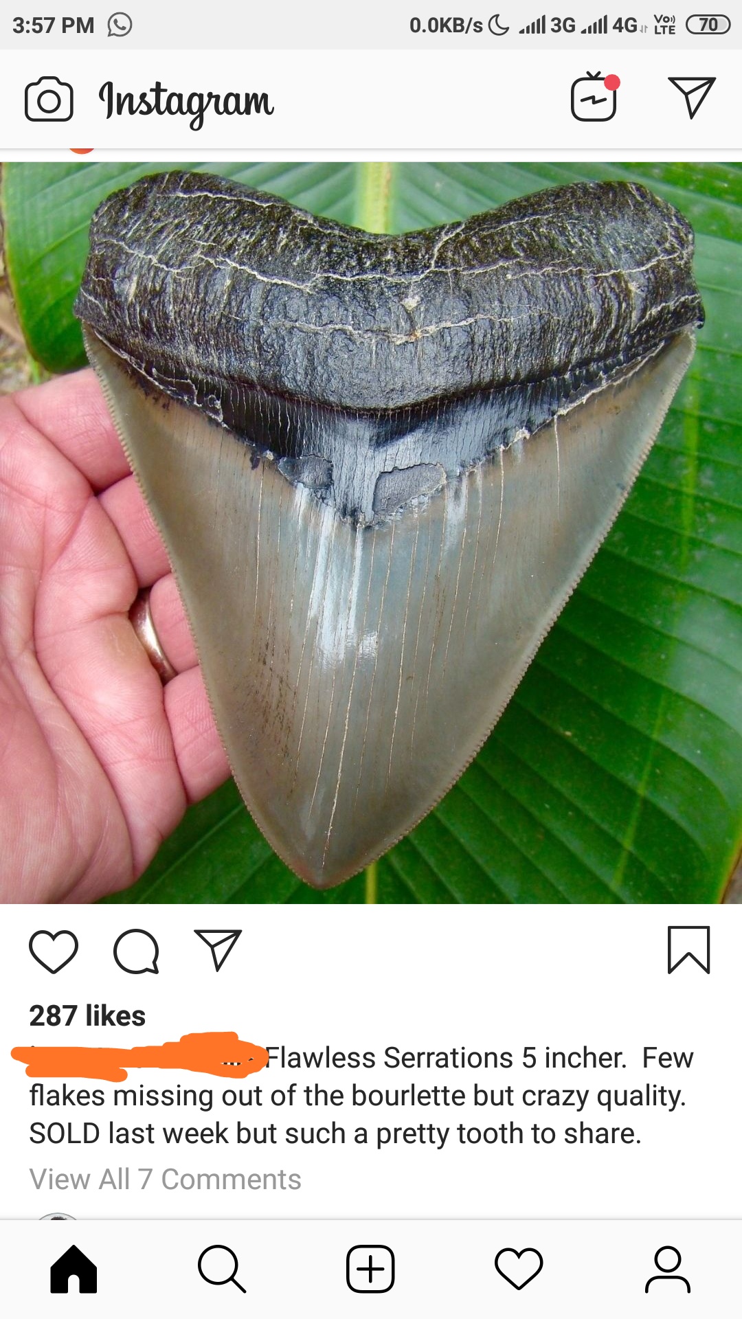 Came across on Instagram. Not my find. Just wanted to know if shark