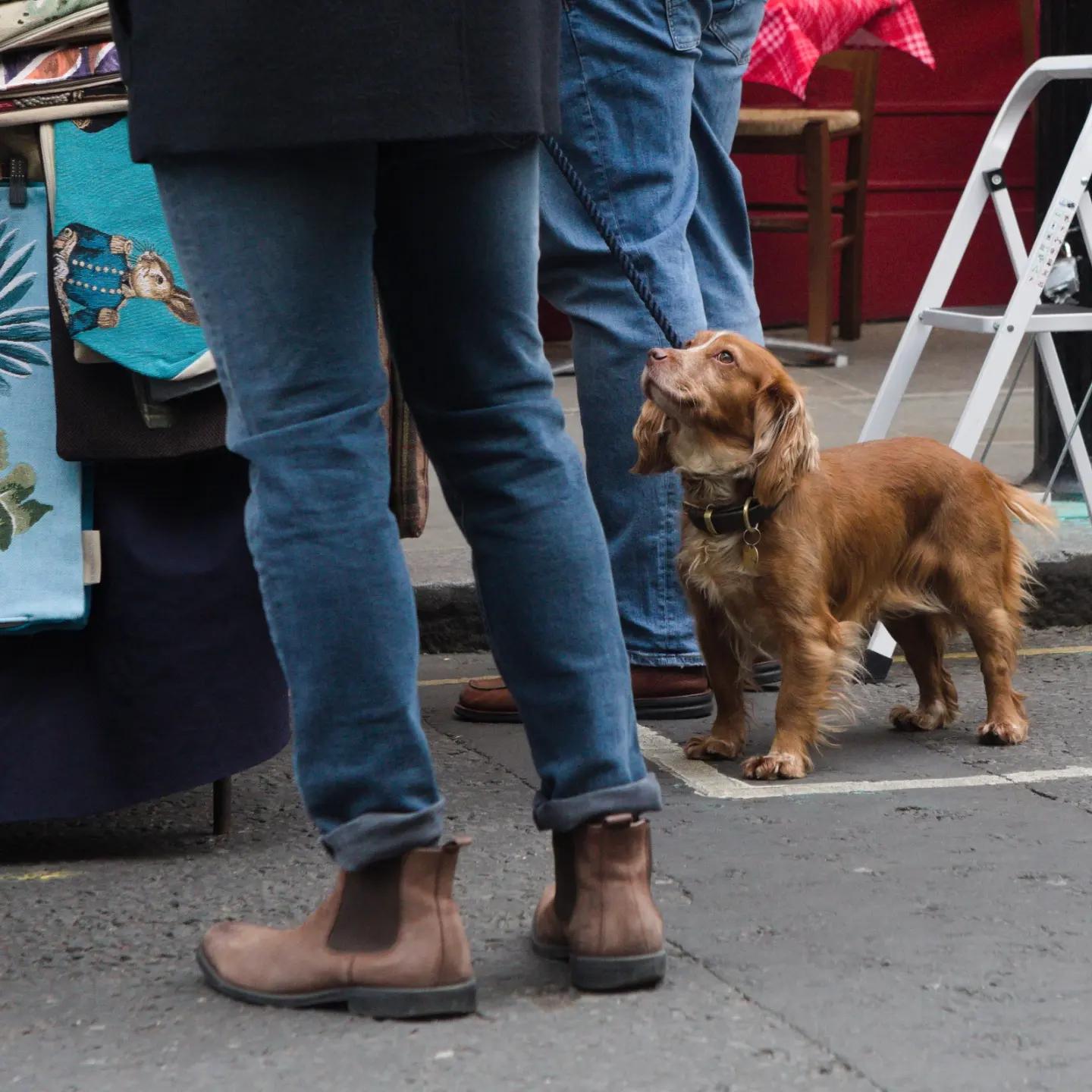 Portobello Road Market r/LondonPhotography
