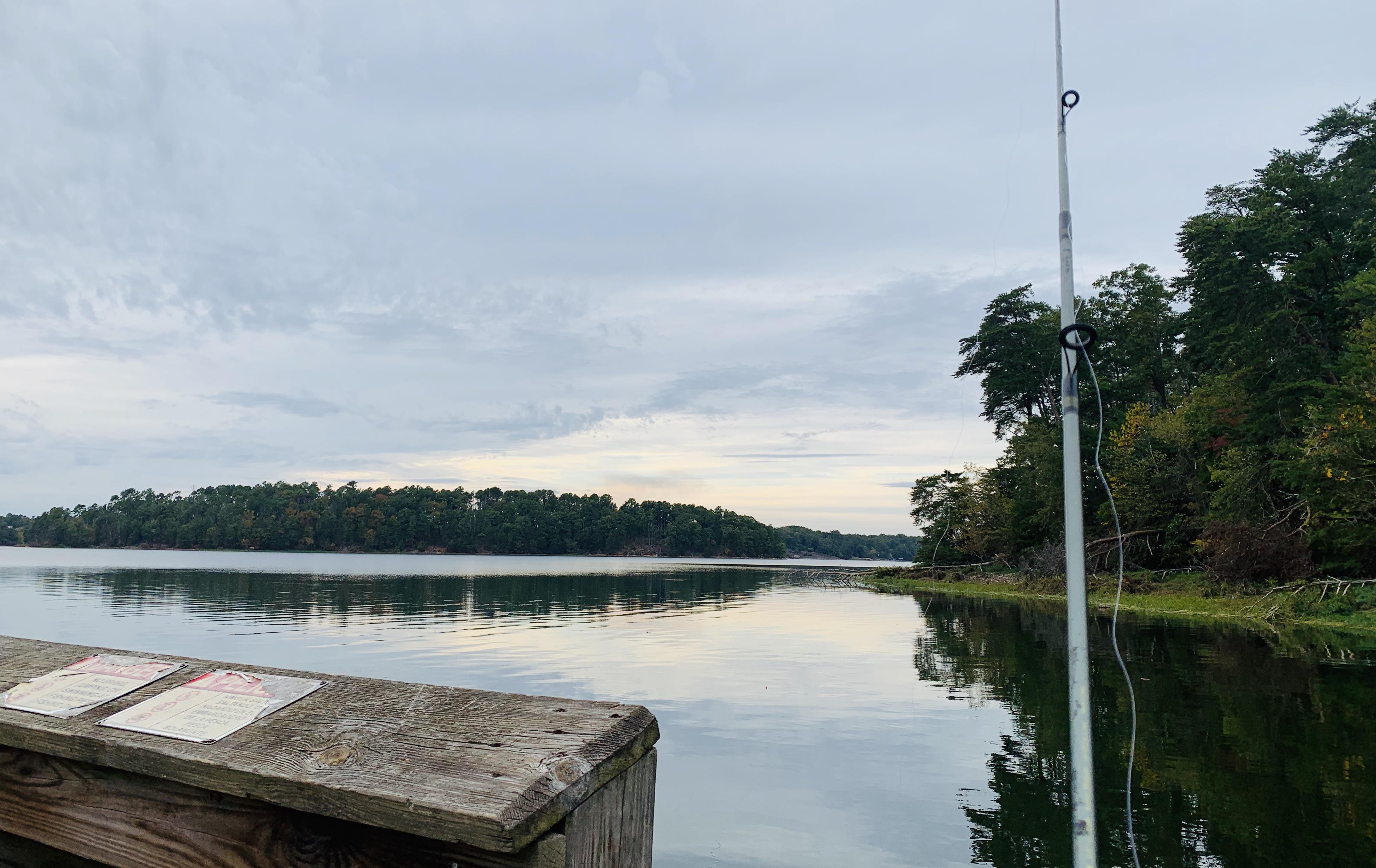 Pier Fishing Badin Lake, Uwharrie, North Carolina r/camping