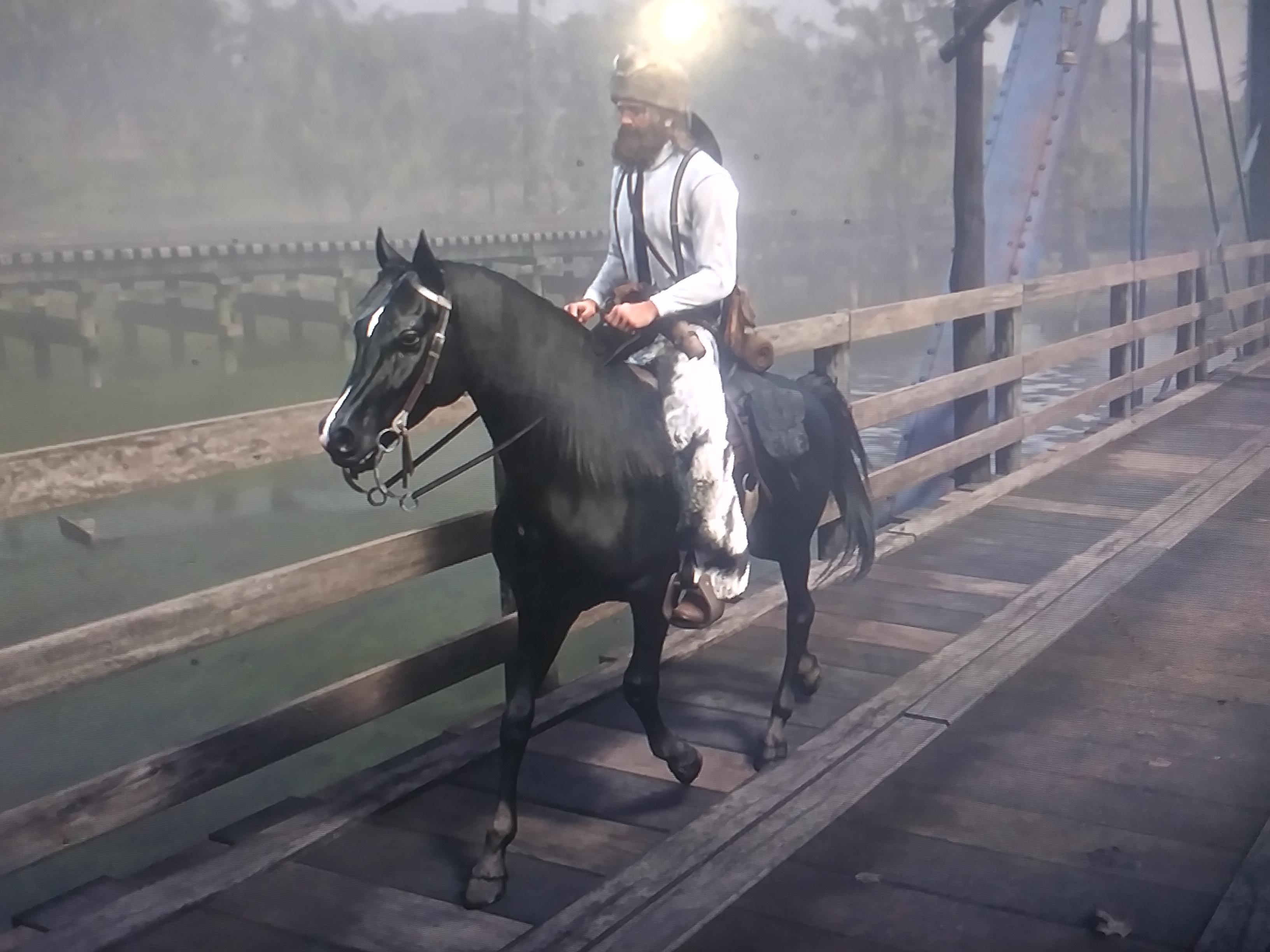 My old horse died. So I got a new one at the Saint Denis Stable. Meet