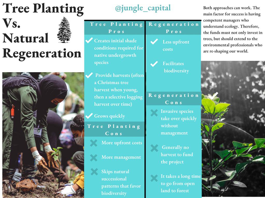 Tree Planting Vs. Natural Regeneration r/sustainability
