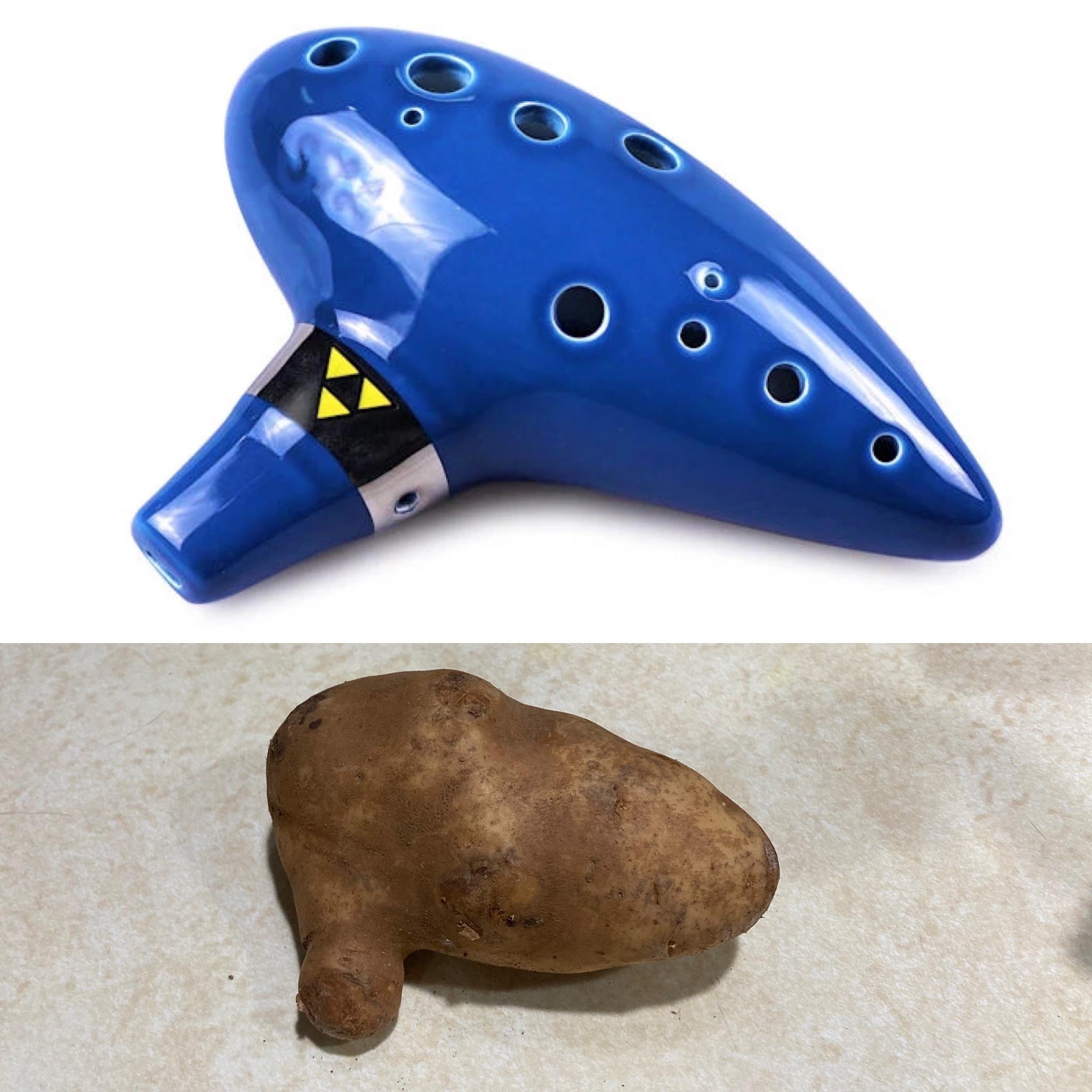 Ocarina shaped spud in my bag of potatoes. r/mildlyinteresting