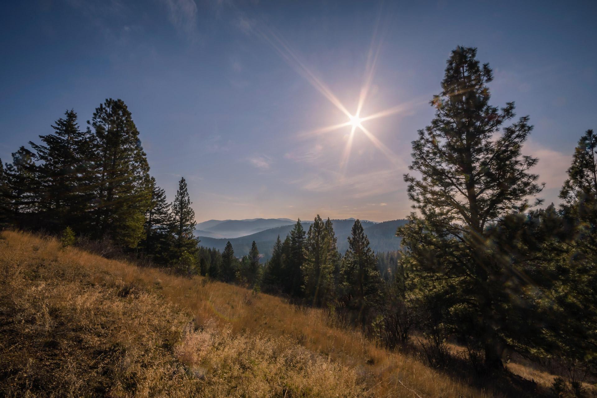 The Sawmill Trail with bright sunshine in the Rattlesnake Mountains