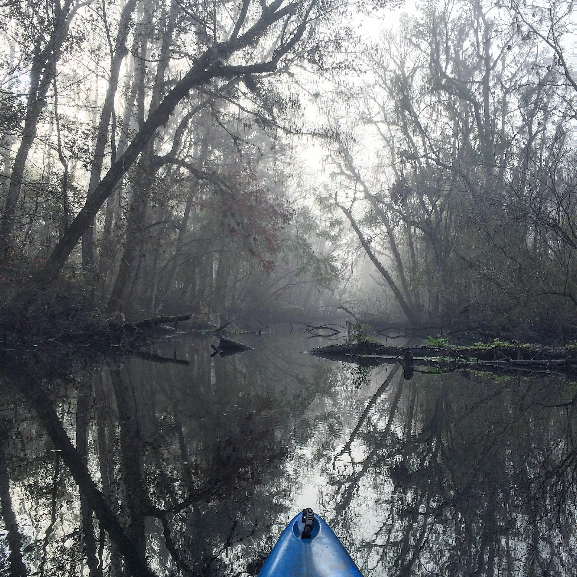 Spooky morning in the Florida swamp. Kayaking