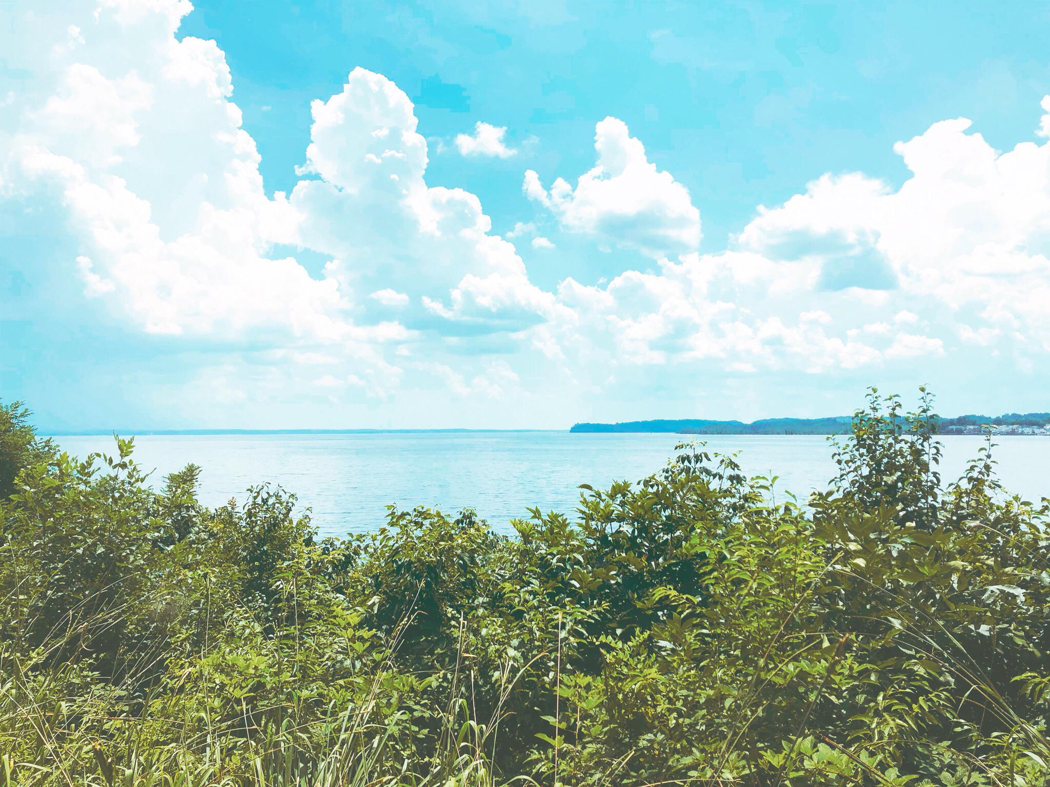 Occoquan Bay National Wildlife Refuge r/pics