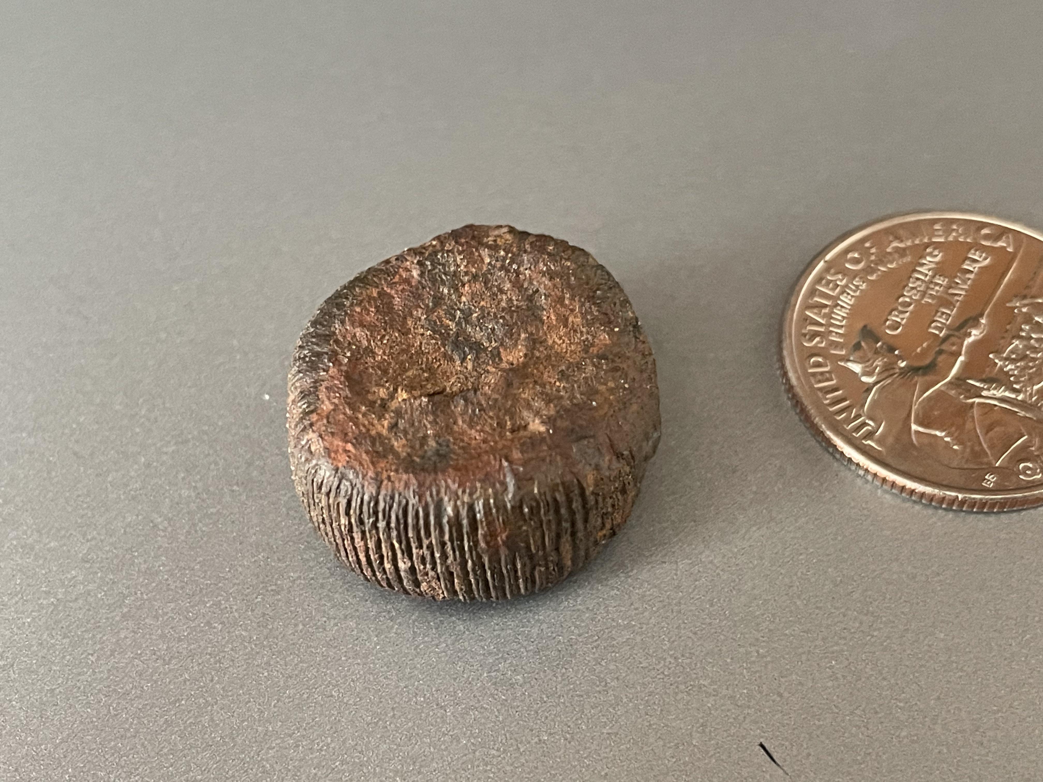 Quarter sized stone cylinder with striations along the perimeter : r