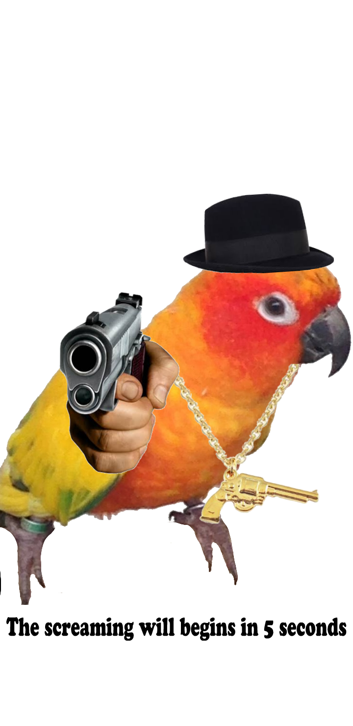 When my parrot ran out of rice (sorry for the low quality) r/parrots