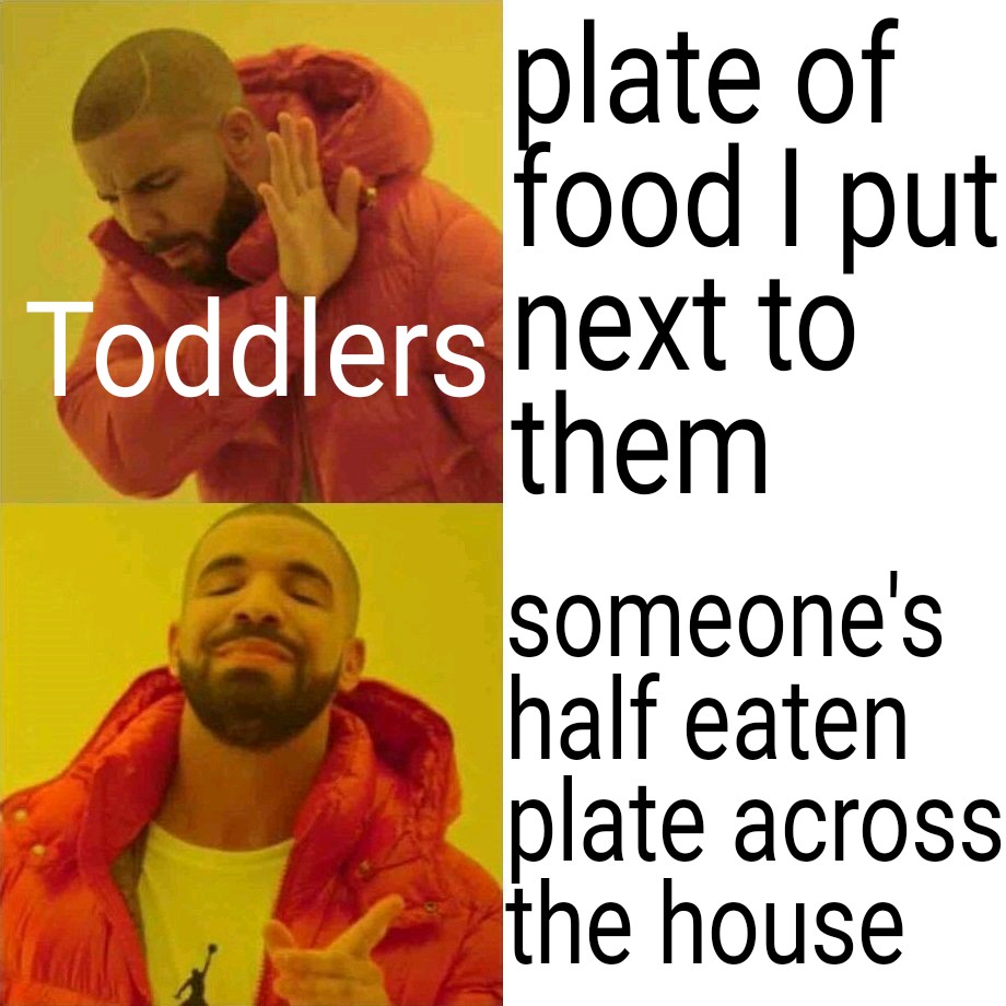 Why have fresh food when you can have scraps left out all night? r