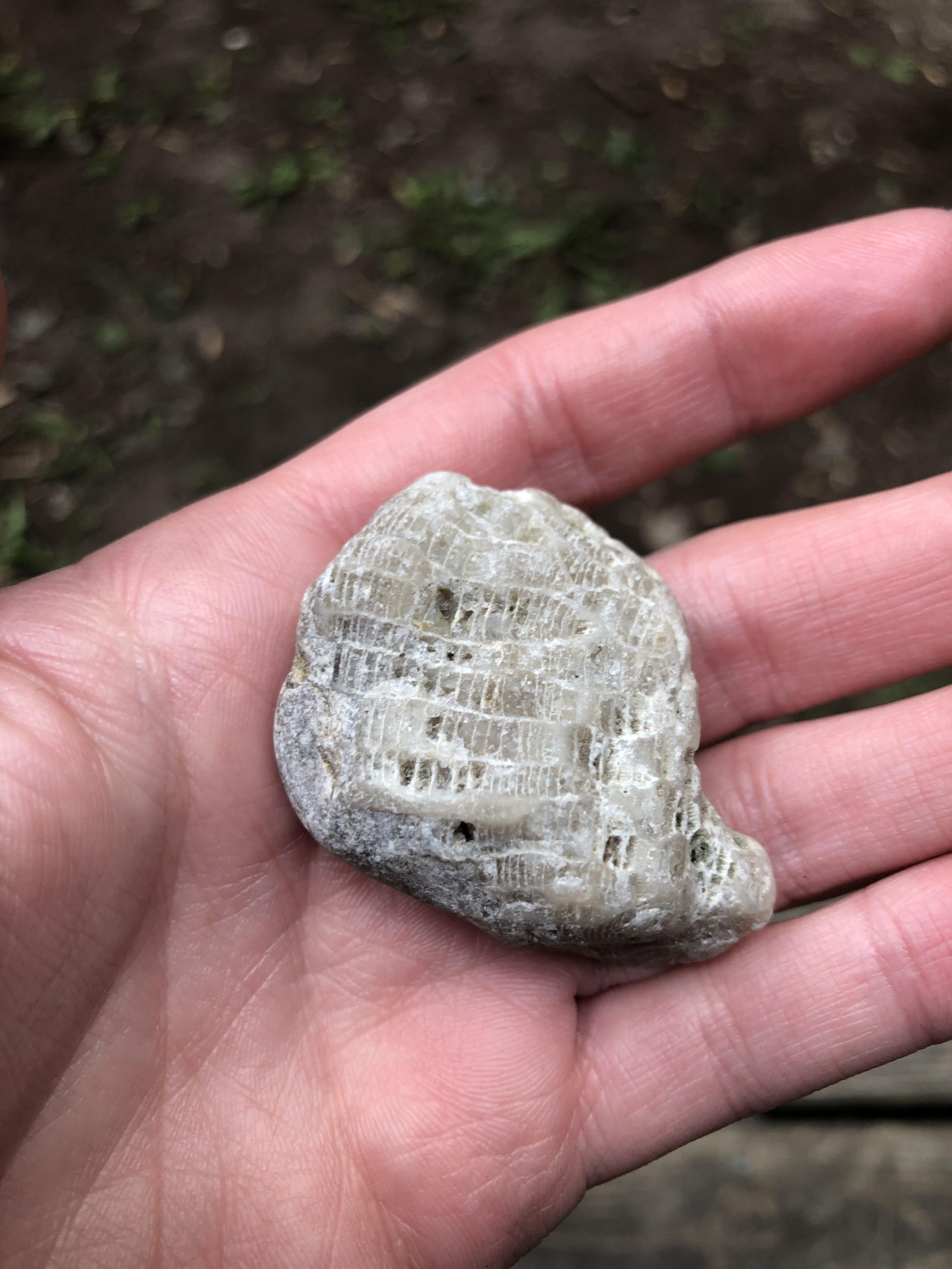 What is this rock? Found in Southern Ontario whatsthisrock