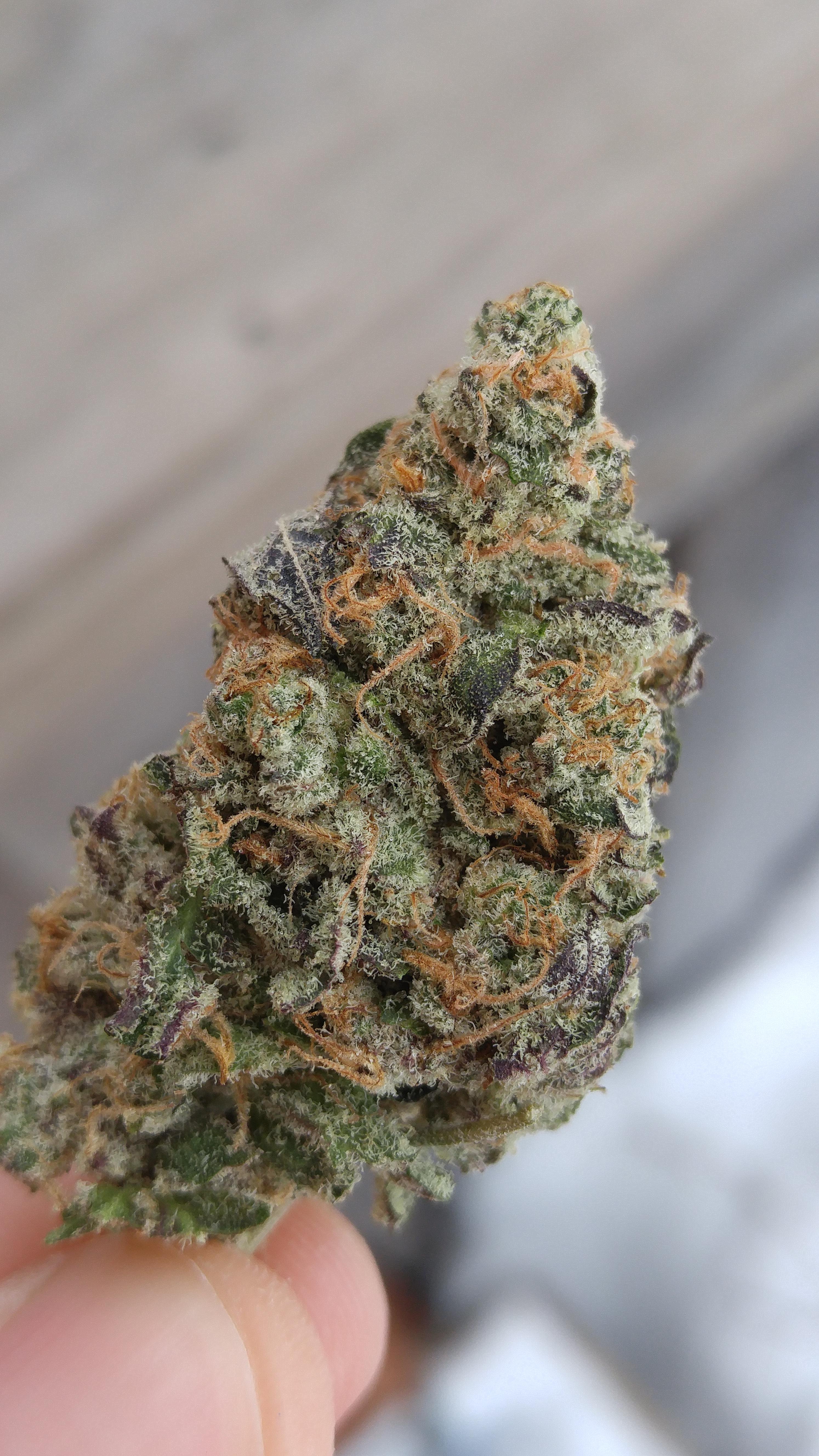 Sophie's Breath True Craft Cannabis January 2020 MOMpics