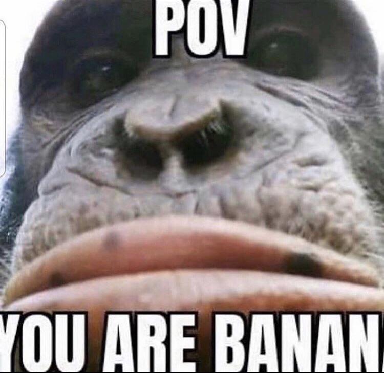 do apes eat banans? r/ape