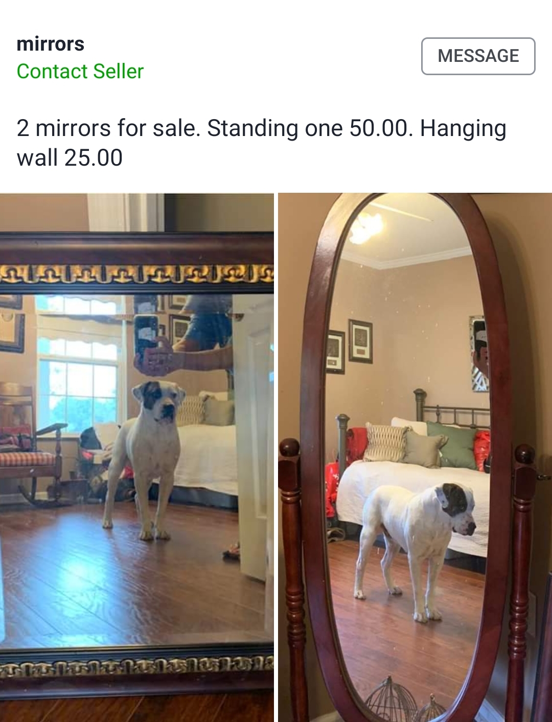 The best mirror for sale r/Mirrorsforsale
