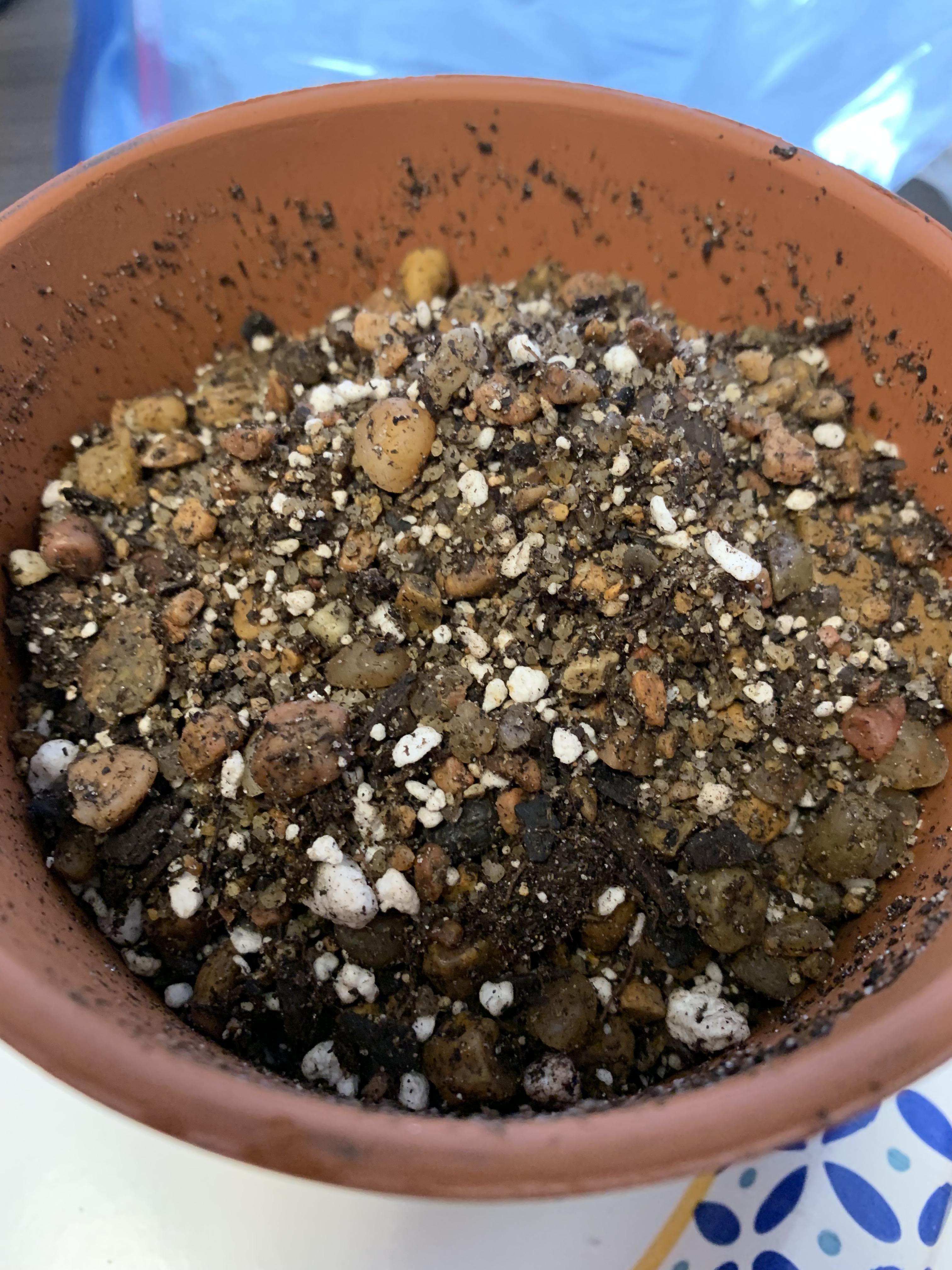 Okay, folks. What do we think? Does this look gritty enough for my