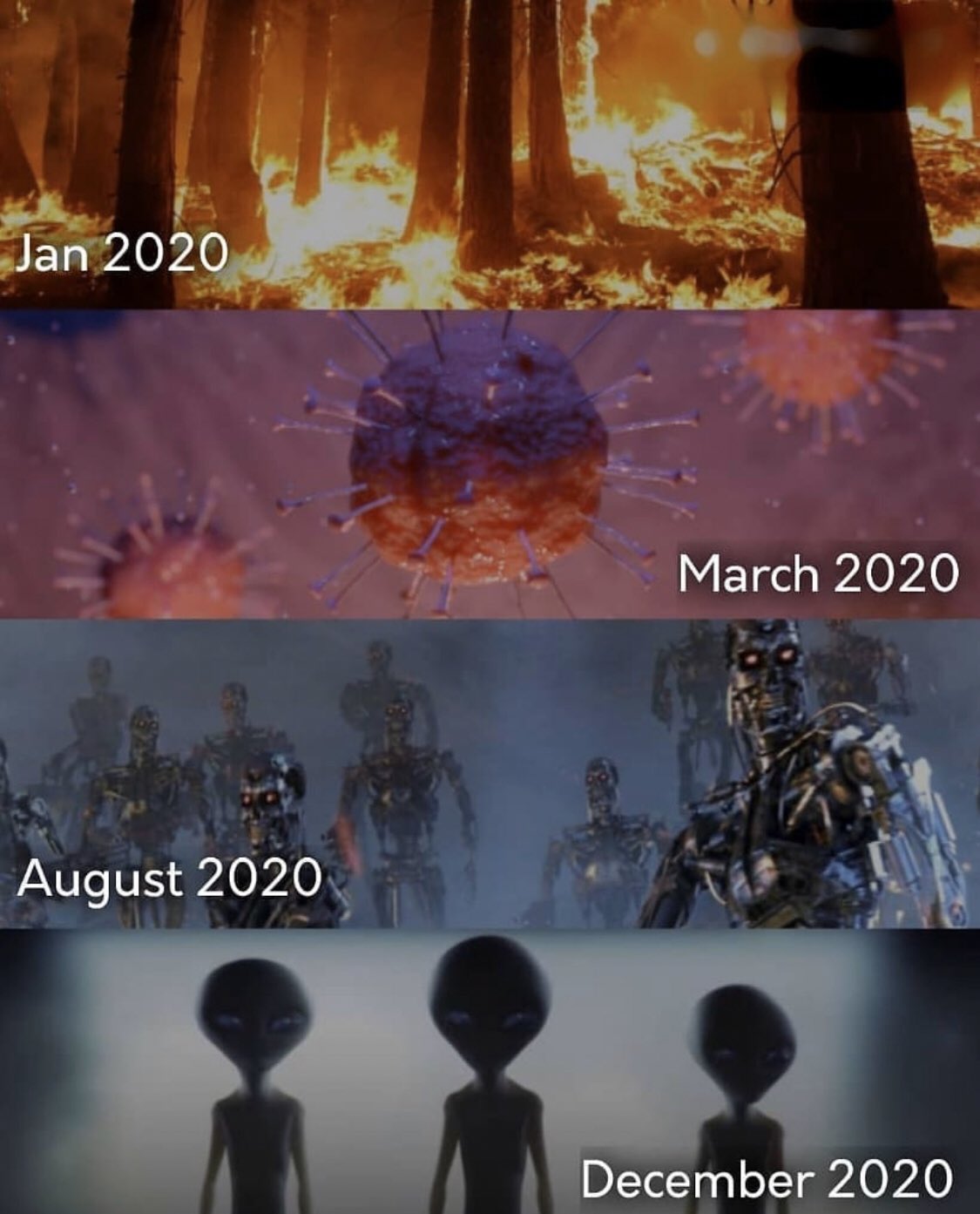 Major Events Of 2023 So Far Major events of 2020 memes