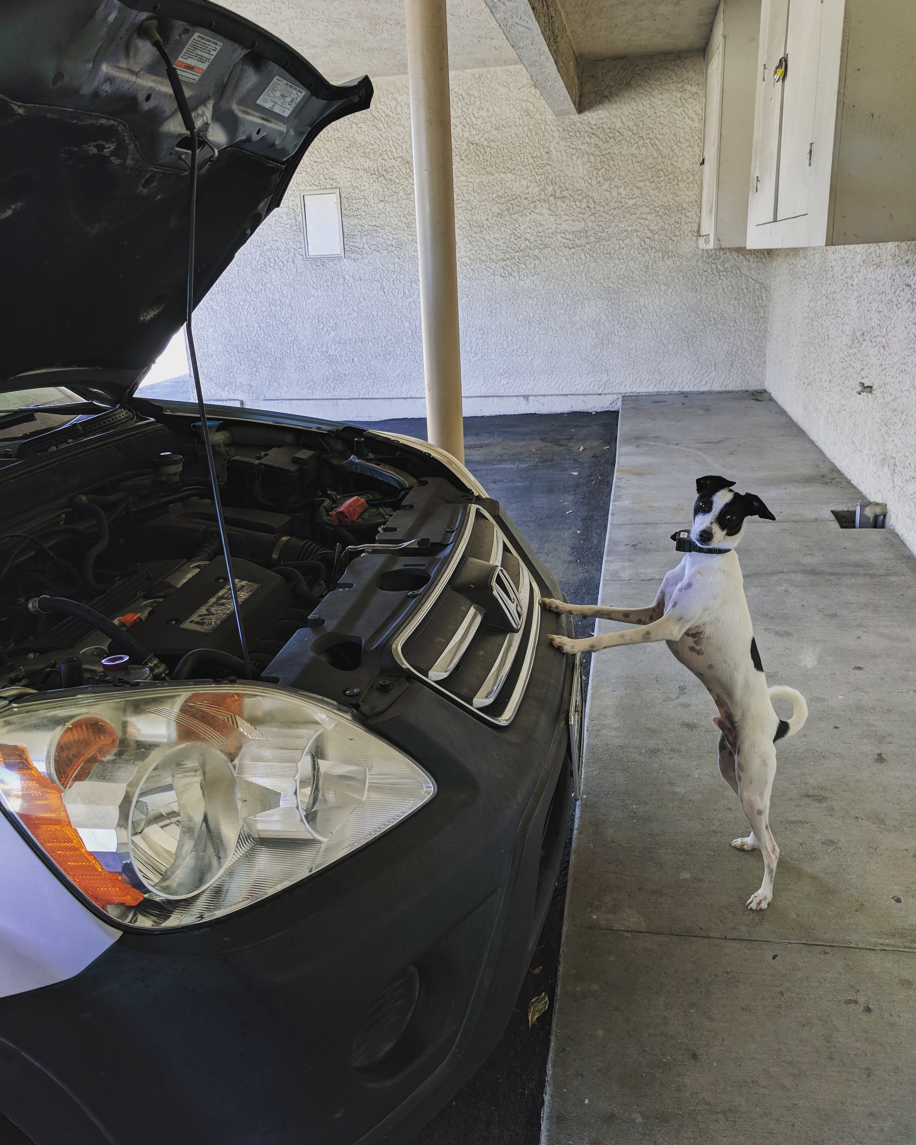 "How many times do I need to tell you to change the oil Sharon