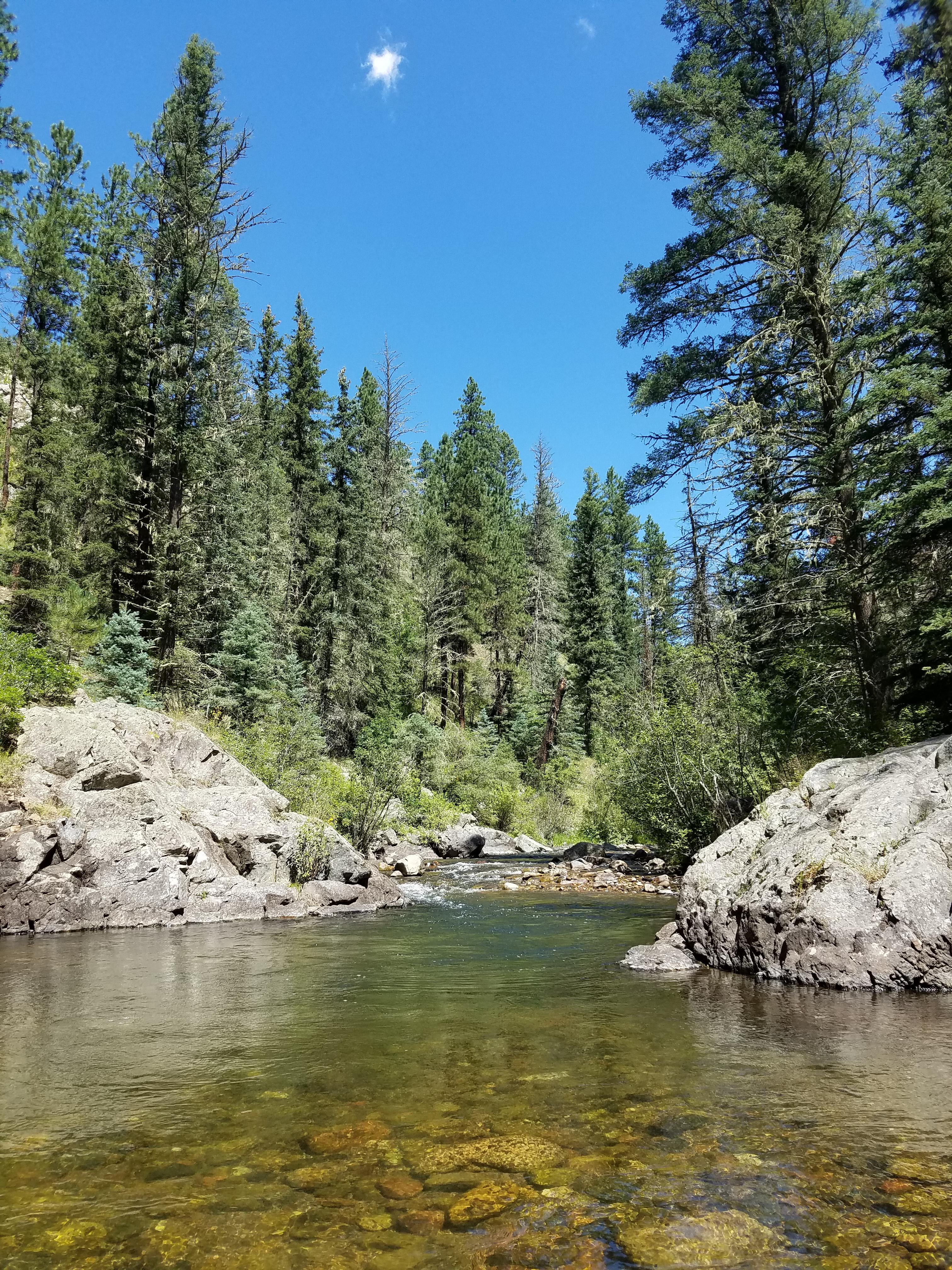 Late summer day on the Pecos River, NM. r/flyfishing