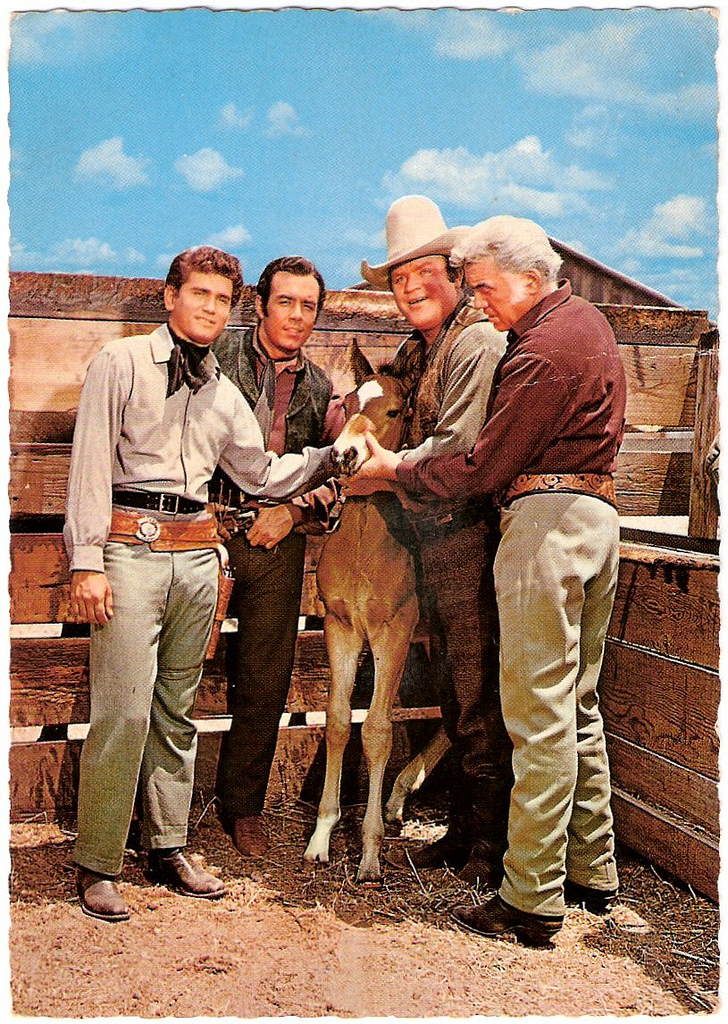 Bonanza Cast