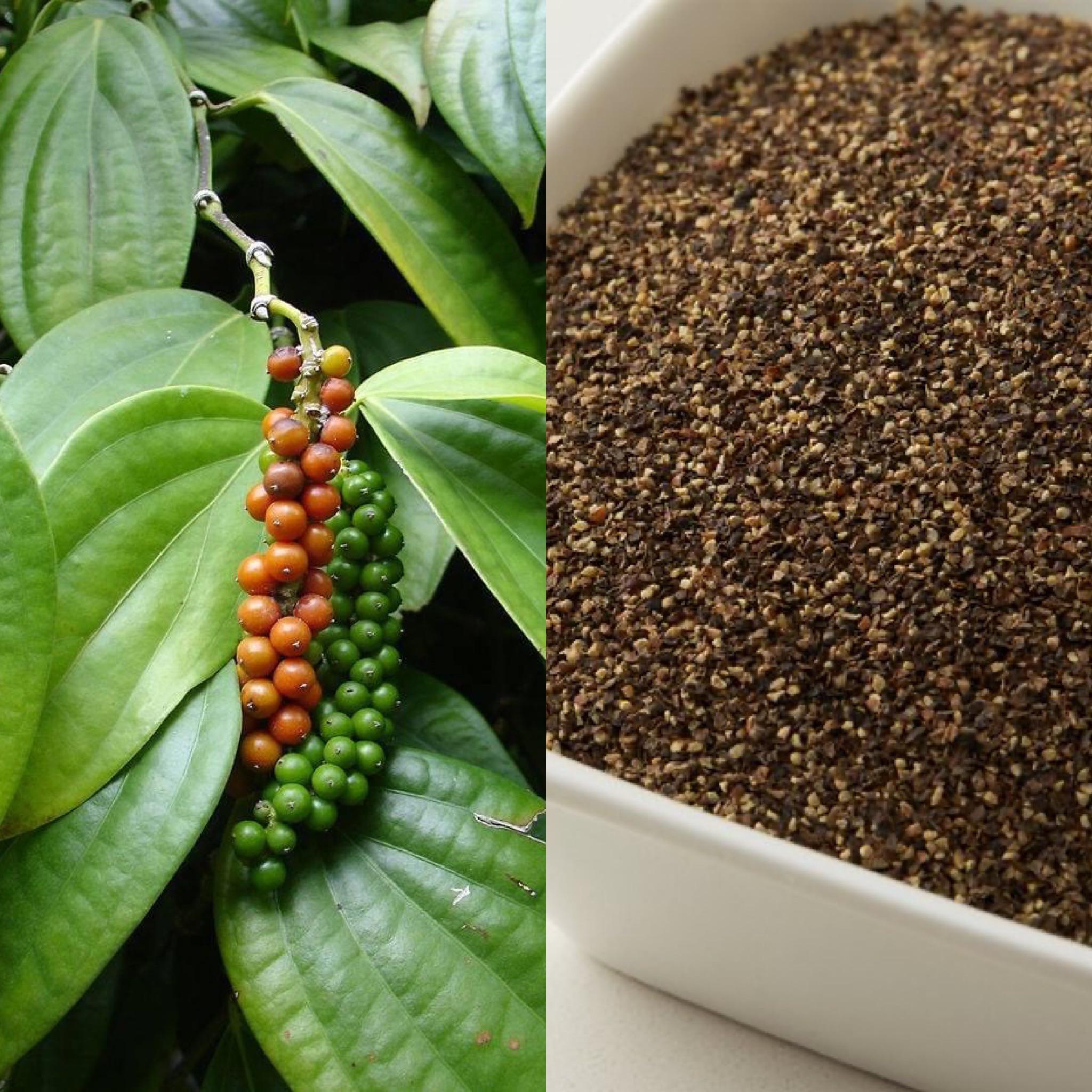 Transformations take time. Here’s a before and after of black pepper