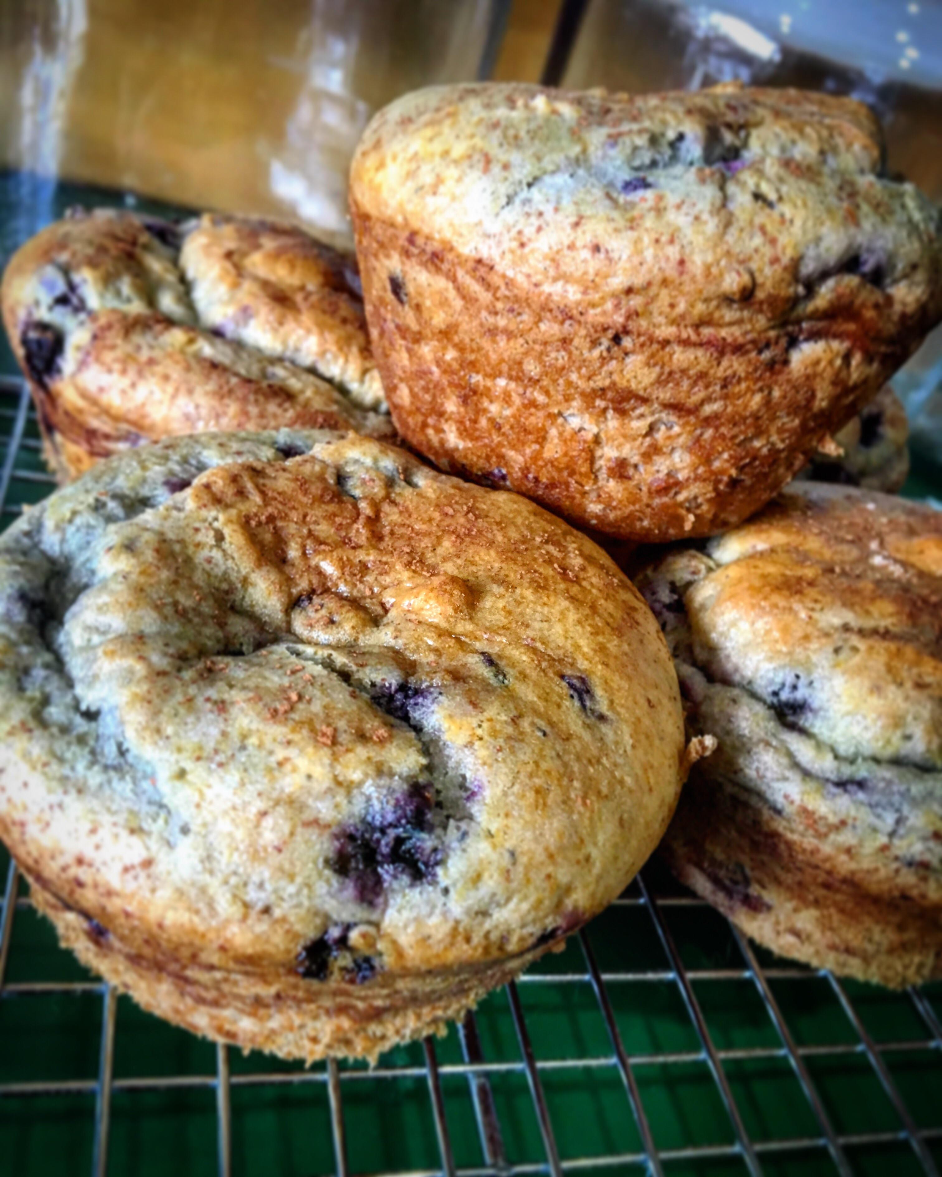 Blueberry muffins made with King Arthur flour gluten free muffin mix