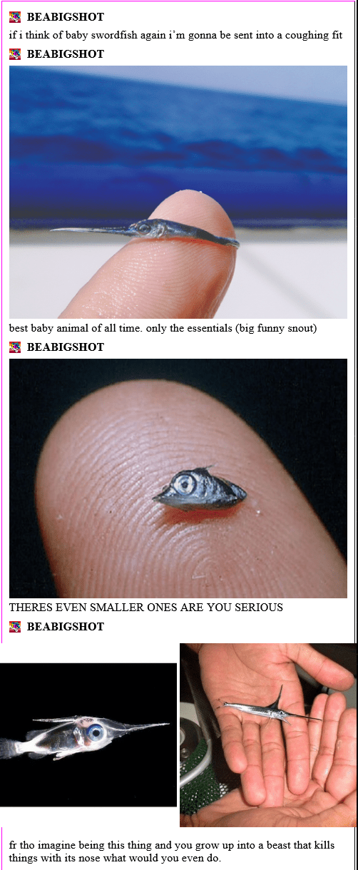 Baby swordfish!! r/CuratedTumblr