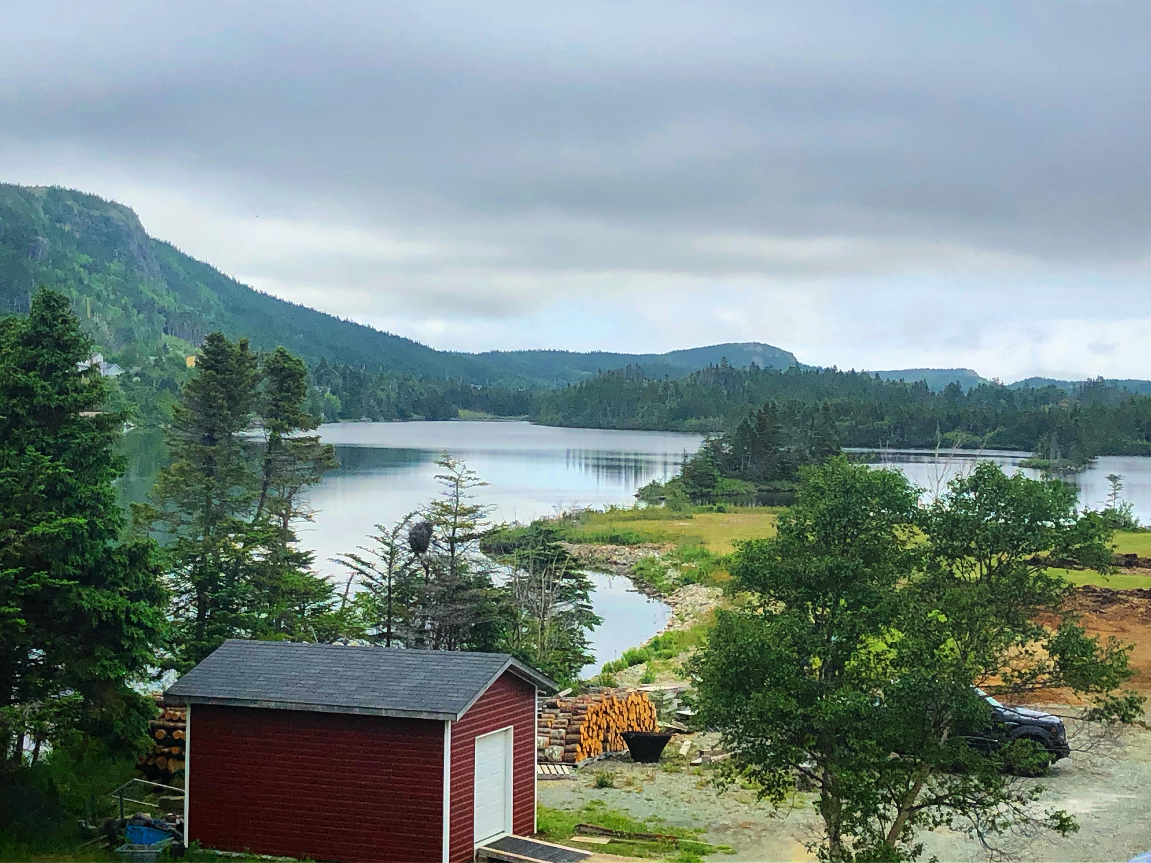 This is what I woke up to every morning growing up in Marysvale, NL 😍