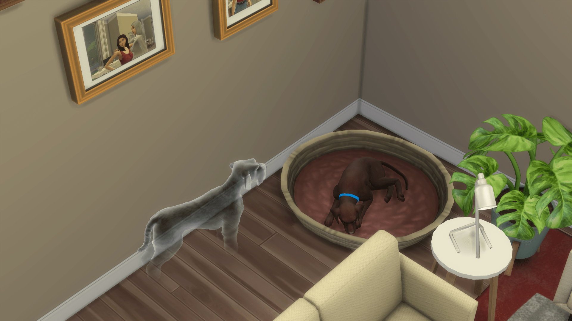 My sims dog died but every night she comes back to hangout with her other dog ) r/thesims