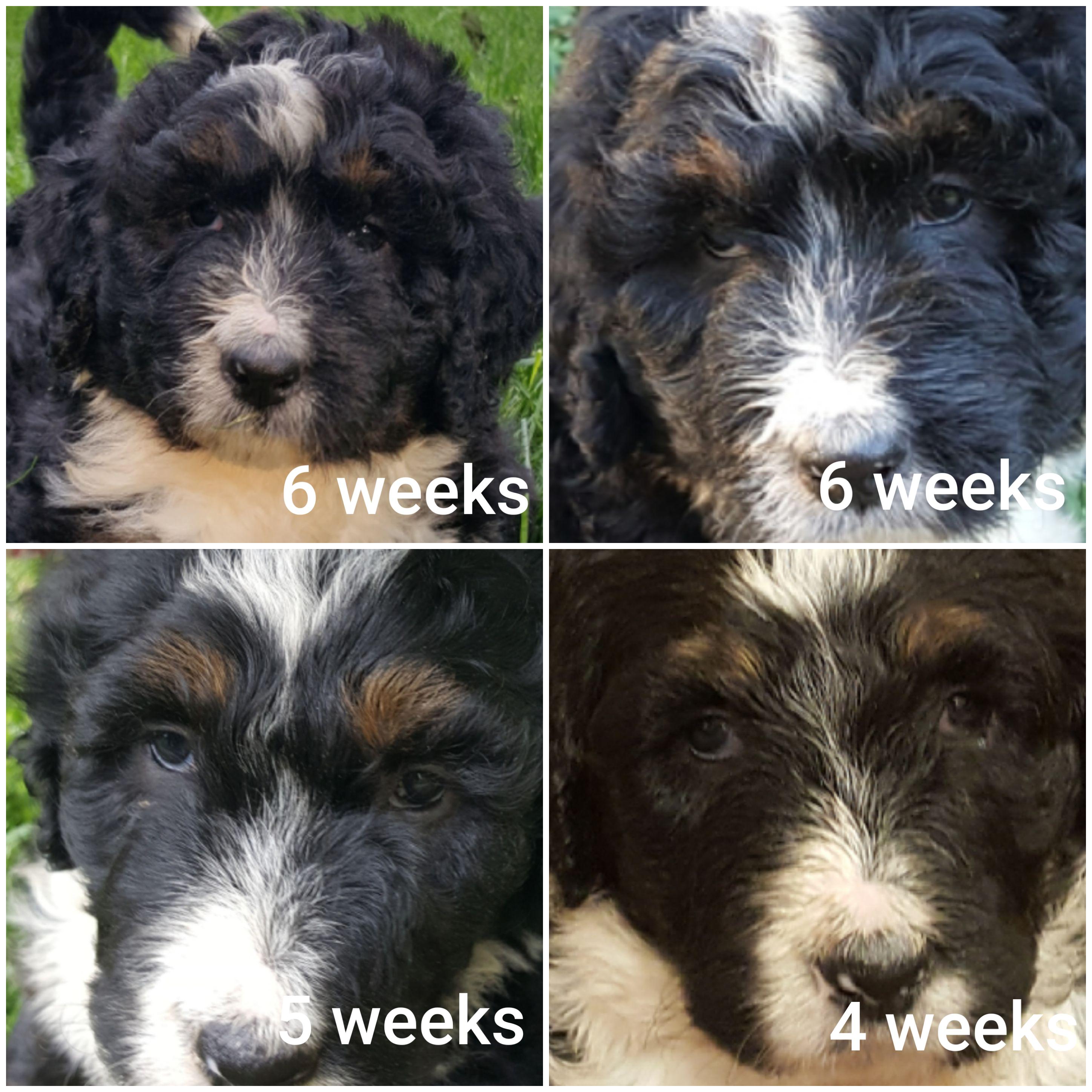 Getting her in 23 weeks, I think she may have a lazy eye. What do you