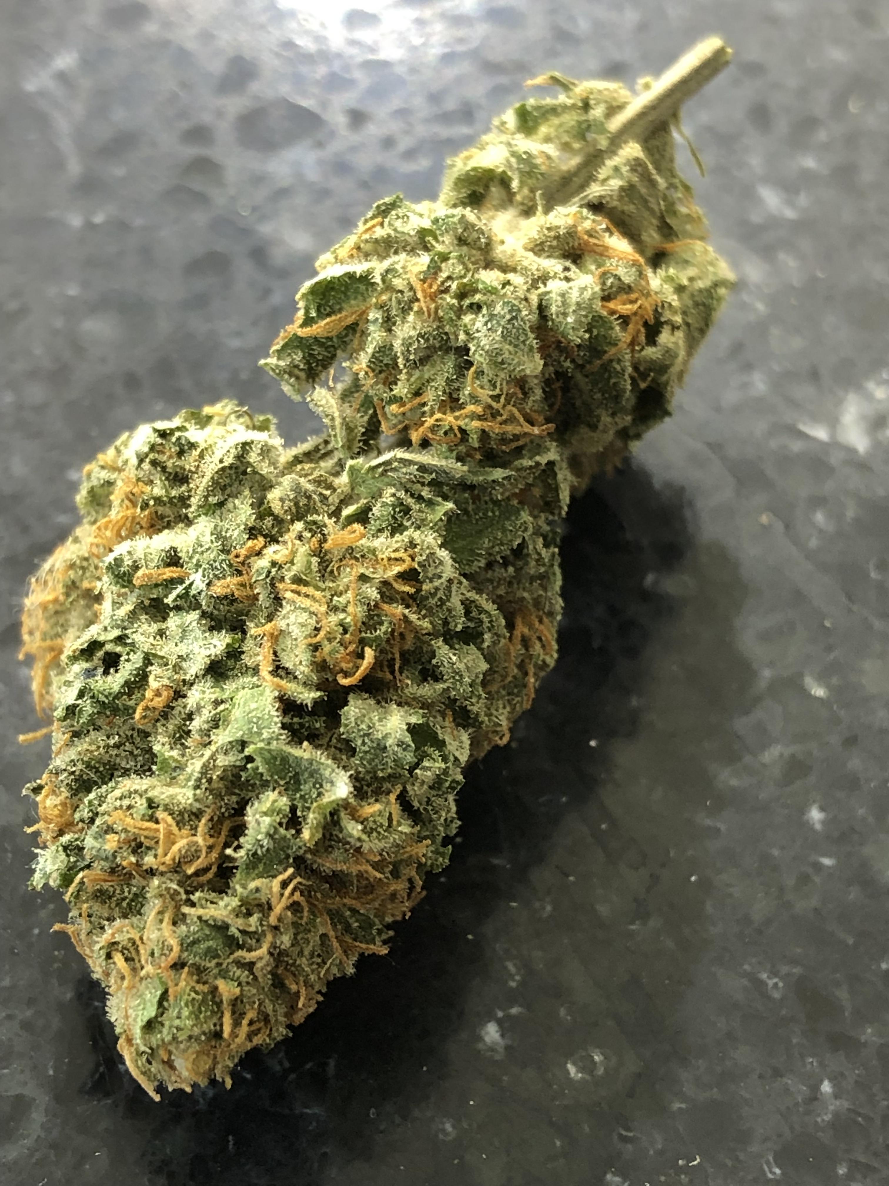 Some Top Shelf Indoor Hemp Flower from one of our test crops. r/trees