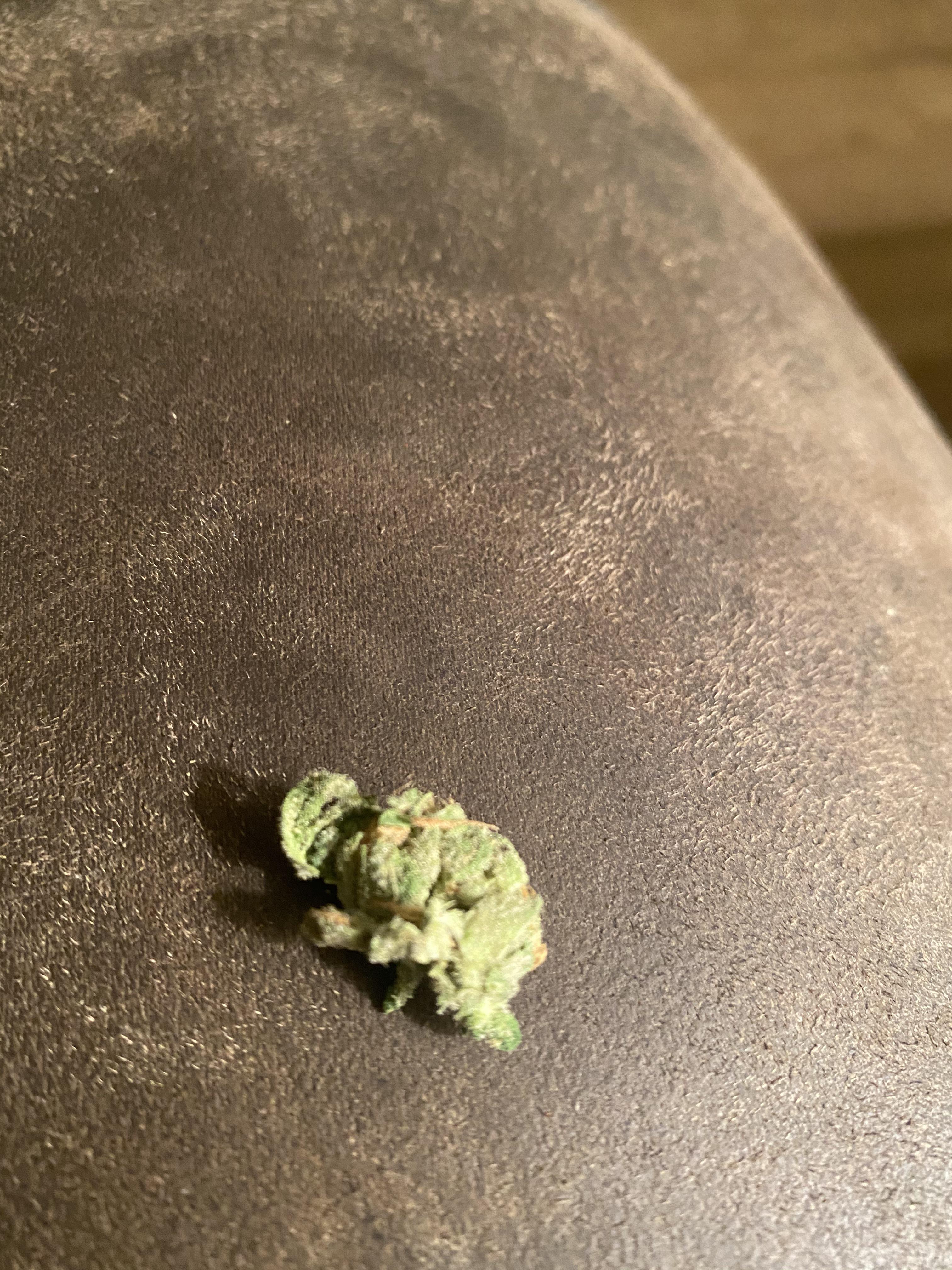 Locally Grown Mad River Kush. Highly if you like to be “In