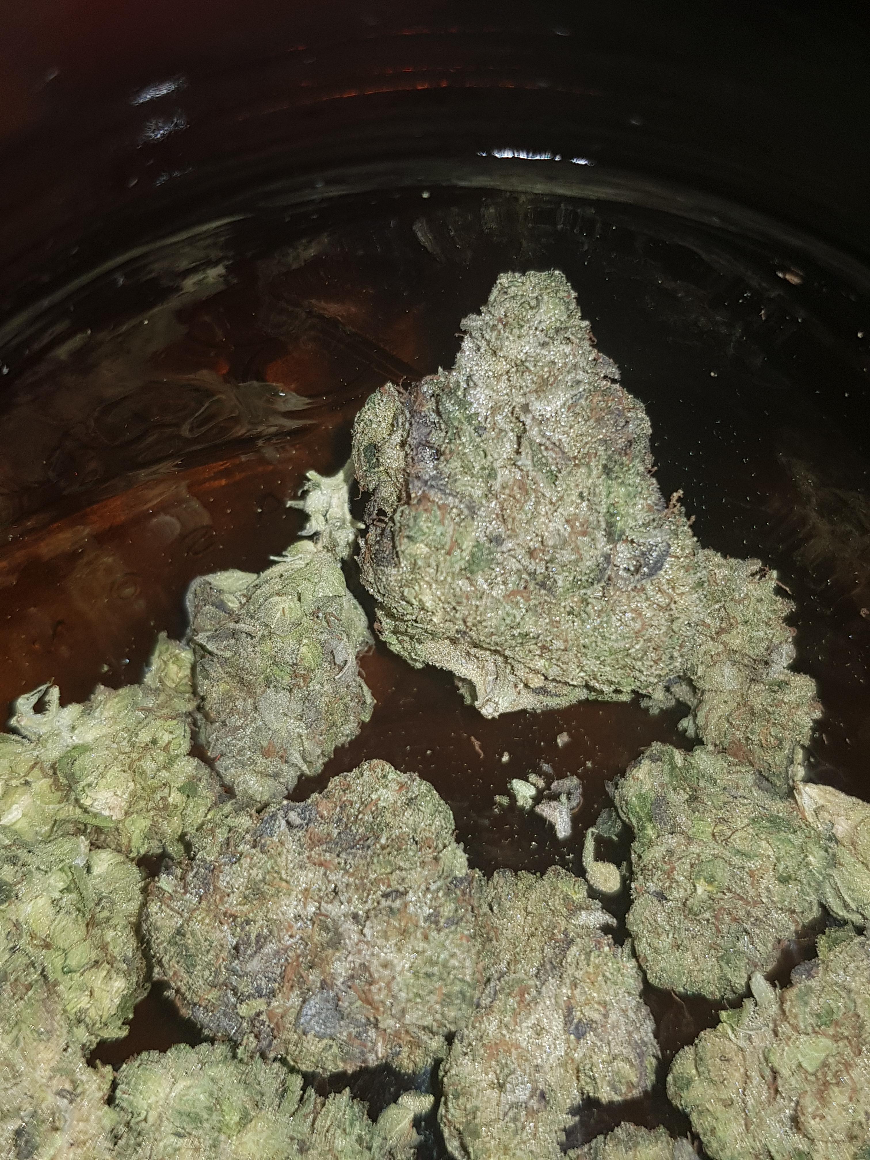 489 best Pink Kush images on Pholder The OCS, Microgrowery and Rec Pics