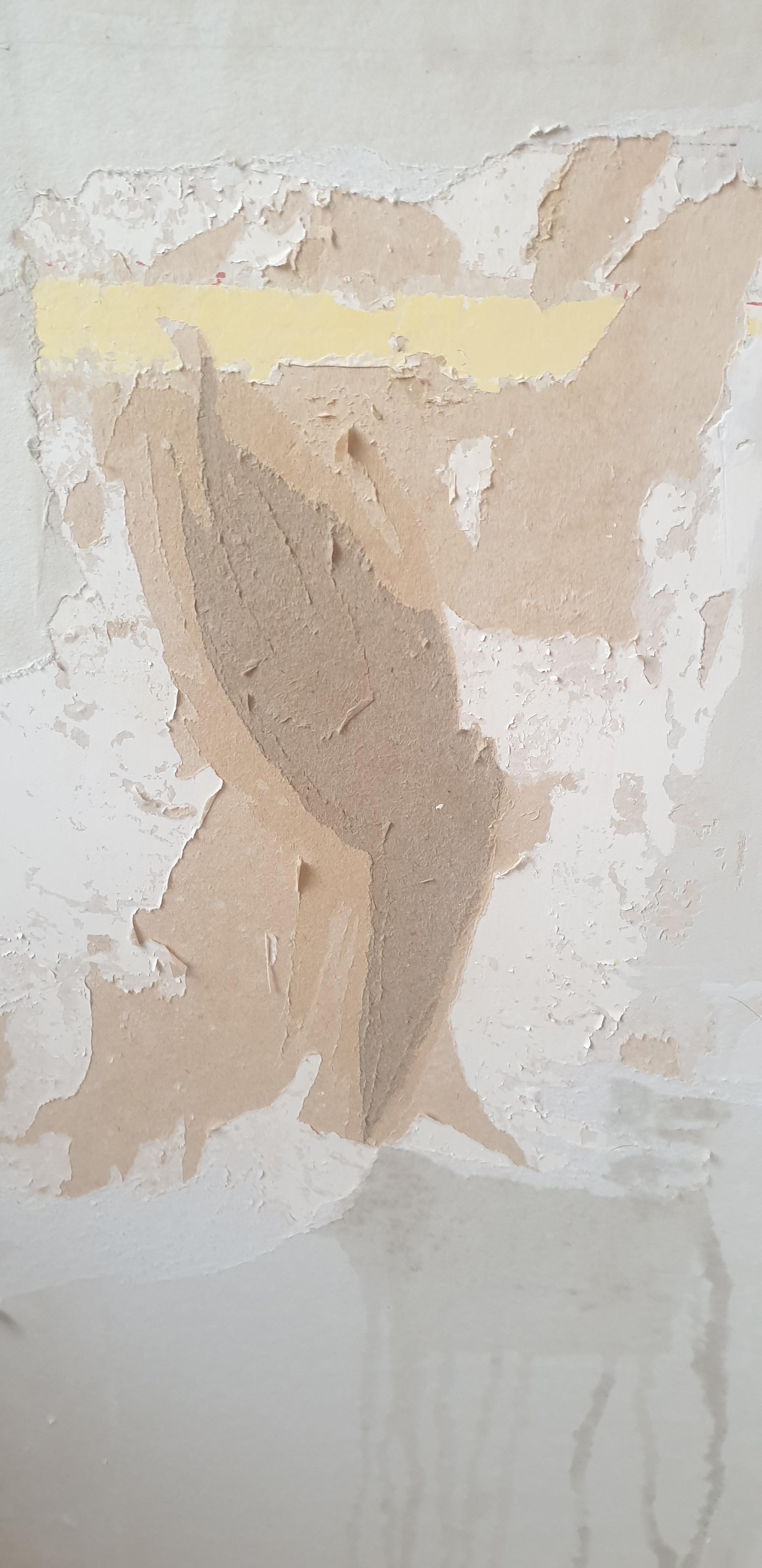 I'm planning on taking this wall back to bare plasterboard (i've