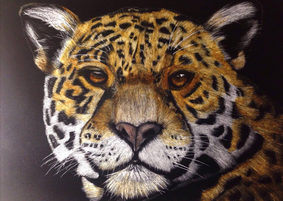 Jaguar, Scratch board & Ink, 11.5" x 8.5" Art