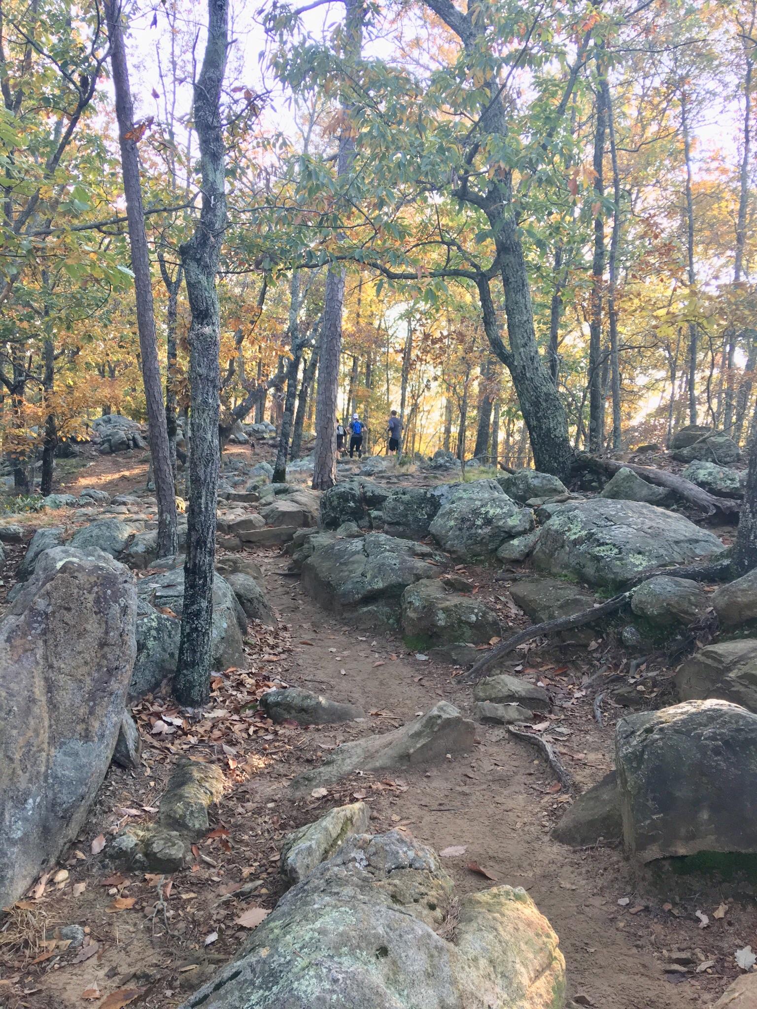 Watch your step! Pigeon Hill, Kennesaw Mountain National Battlefield
