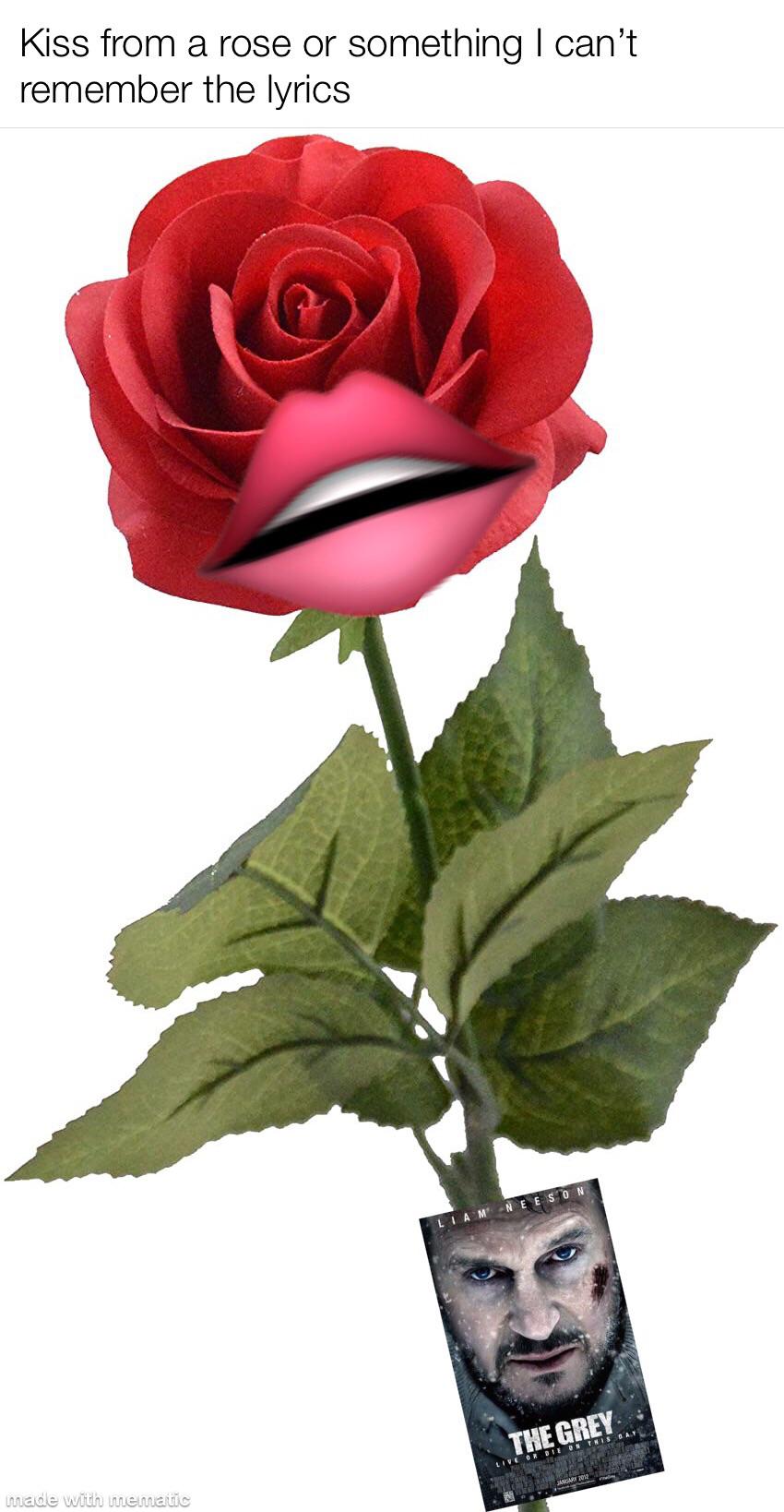 BABAYH I COMPARE YOU TO A KISS FROM A ROSE ON THE GREY r/memes