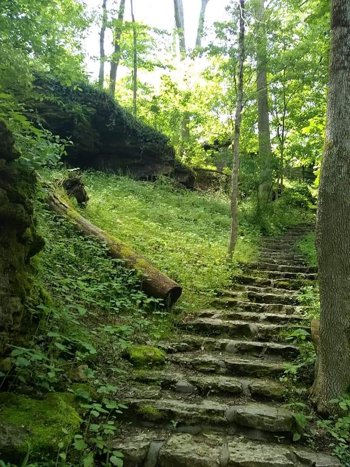 Glen Helen Nature Preserve, Yellow Springs. r/Ohio