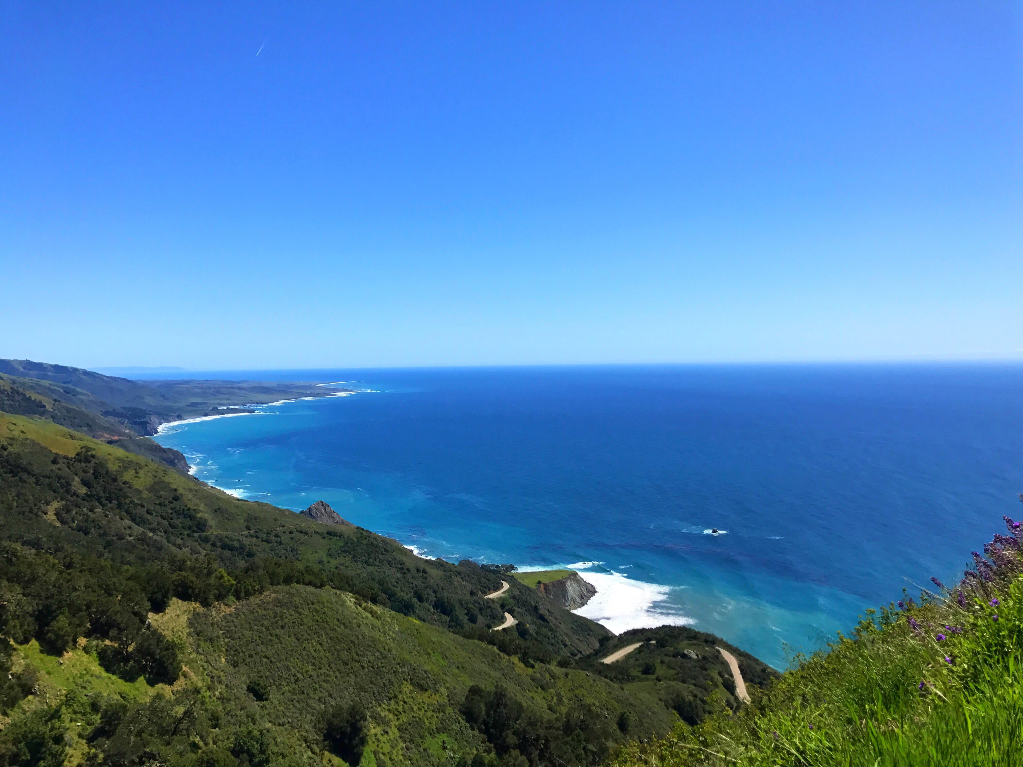 Took boyfriend and dog on their first backpacking trip. Buckeye Trail