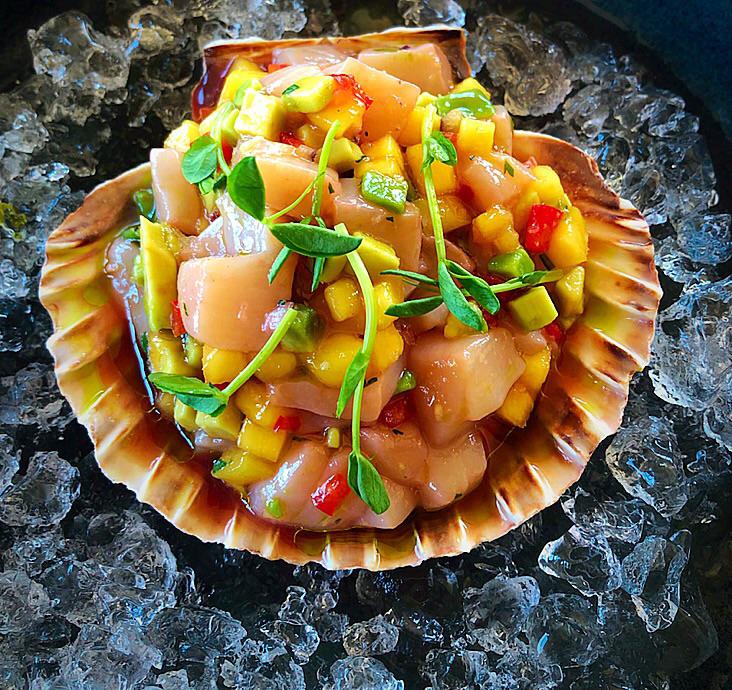 [pro/chef] Day boat scallop ceviche,avocado mango salsa,blood orange
