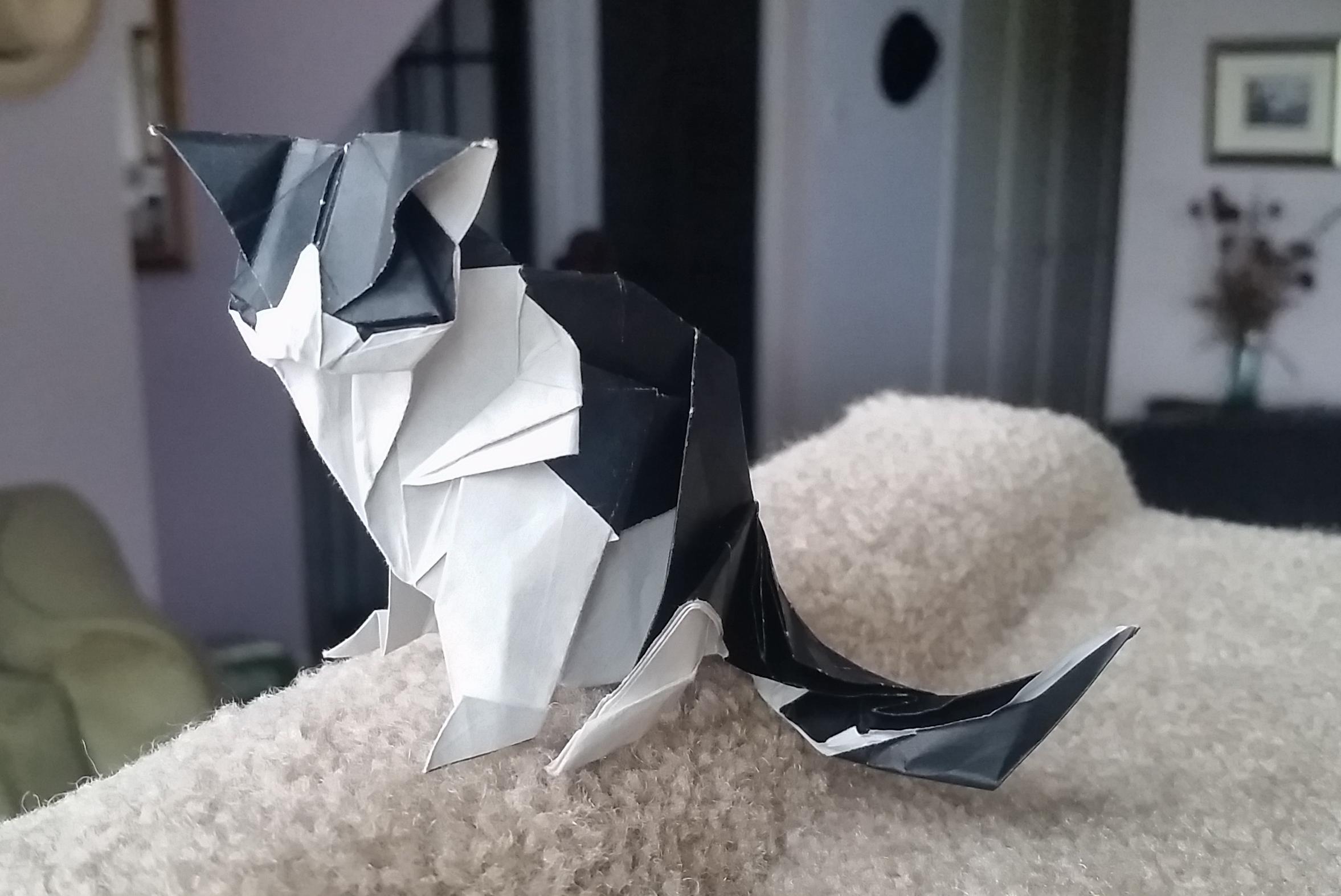 Cat [Katsuta Kyohei] 25cm "Origami" Paper r/origami