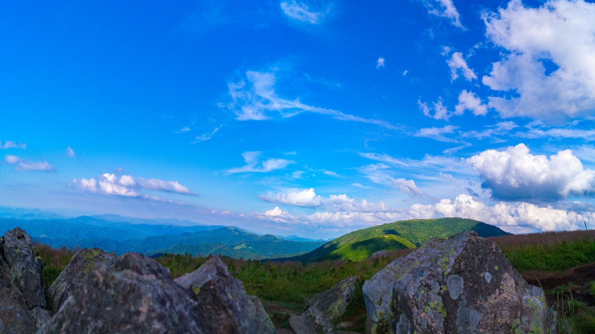 Roan Mountain, Upper East Tennessee [1920X1080] r/EarthPorn