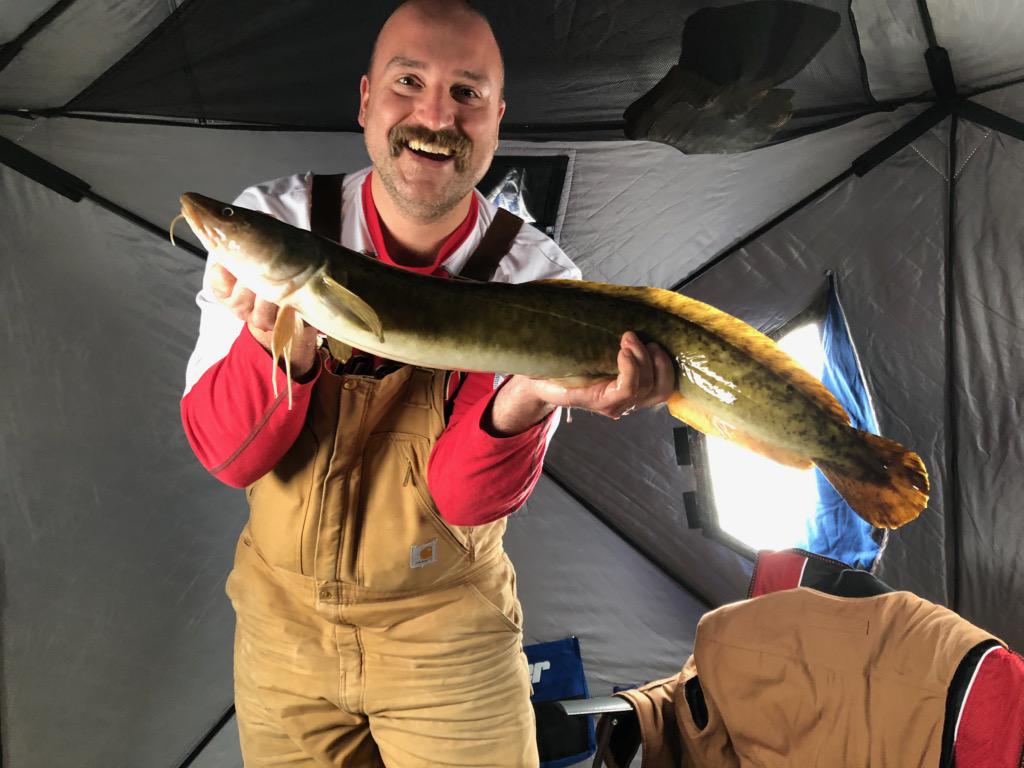 Burbot Orgy! St. Louis River spawning run in Duluth MN r/IceFishing