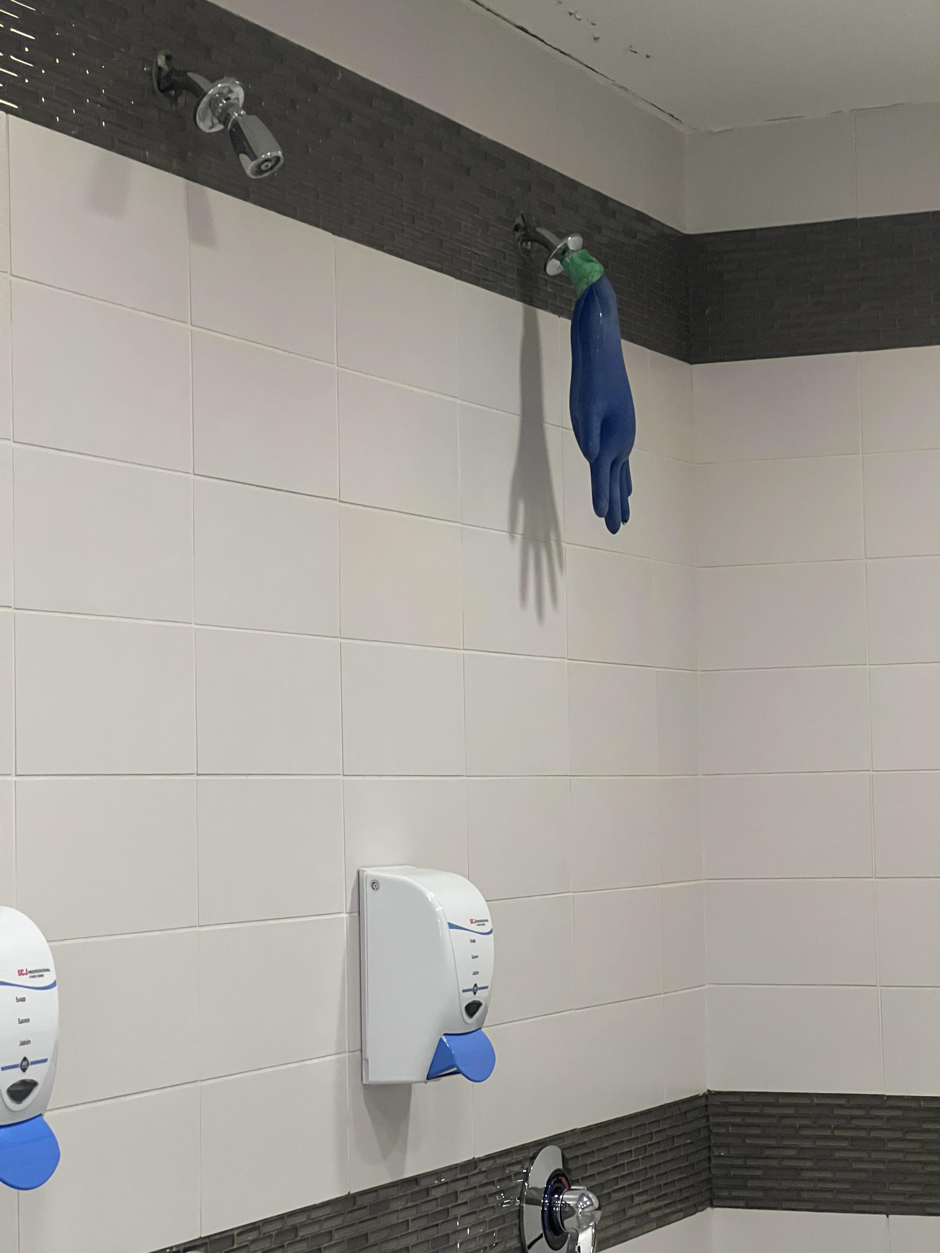 Fixed the shower boss : r/onejob