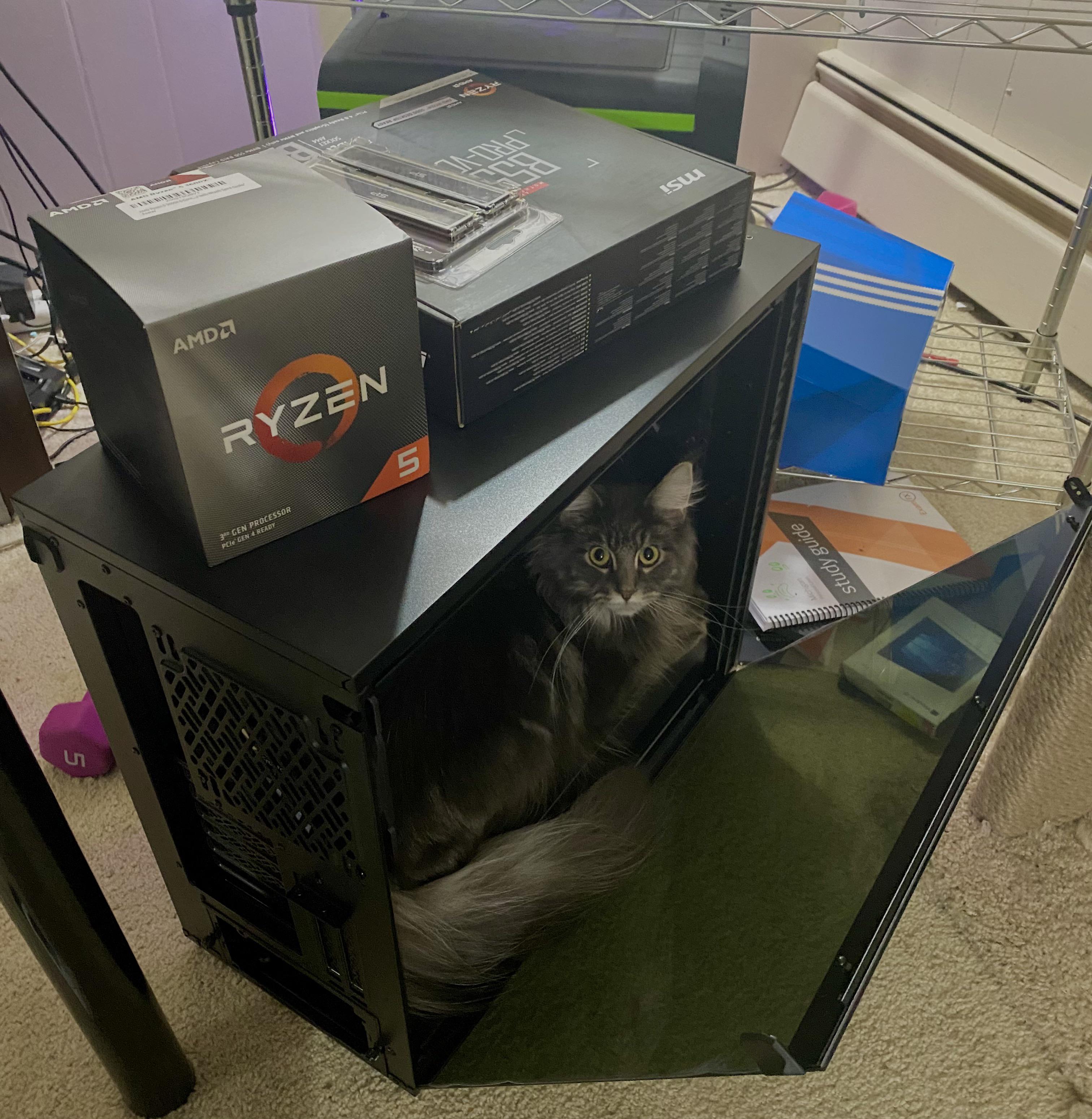 My cat love my new pc build too! r/pcmasterrace