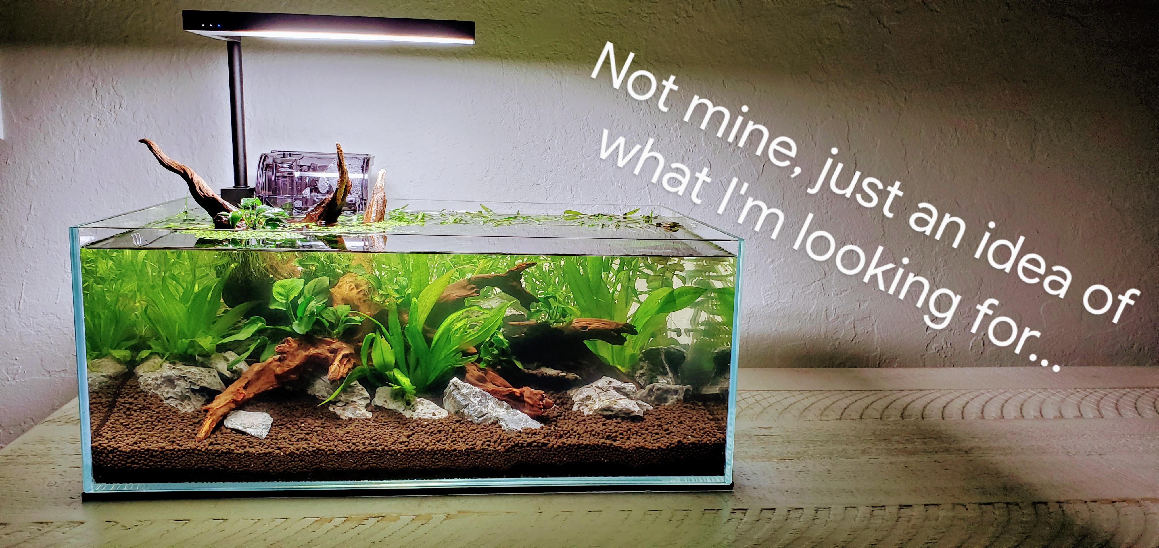 Best 510G shallow rimless tanks? r/PlantedTank